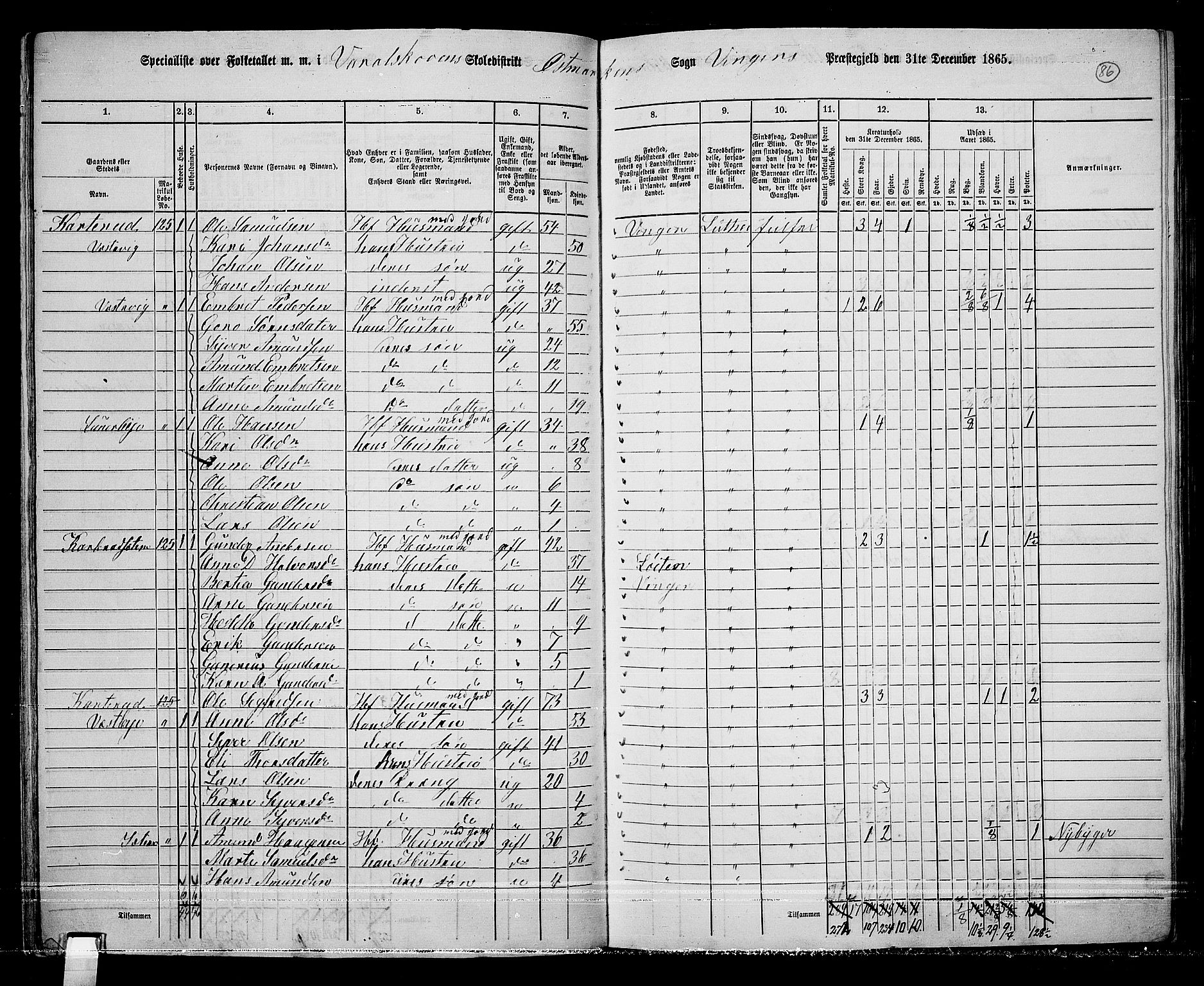 RA, 1865 census for Vinger/Vinger og Austmarka, 1865, p. 80