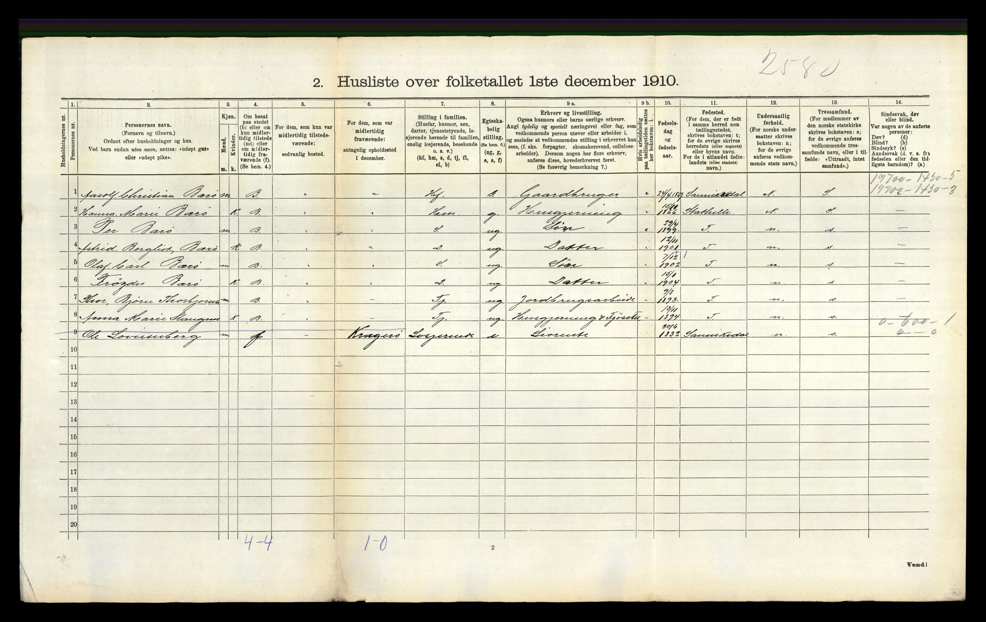 RA, 1910 census for Skåtøy, 1910, p. 1208