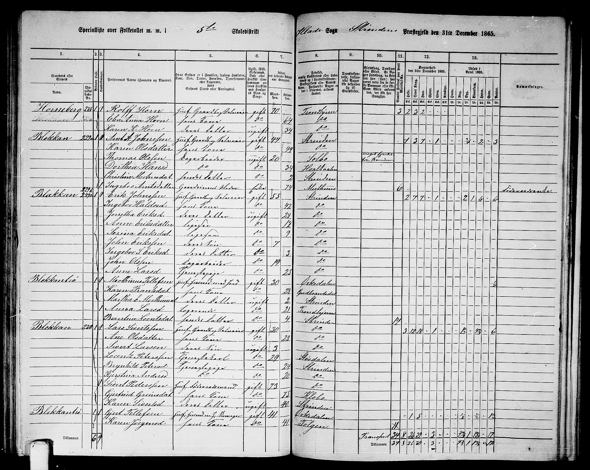 RA, 1865 census for Strinda, 1865, p. 121