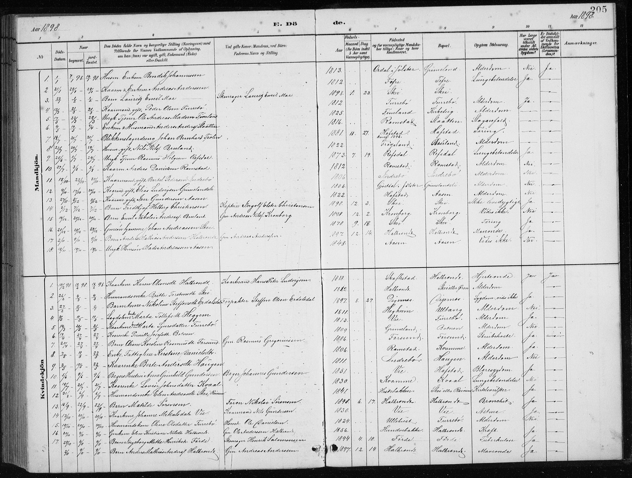 Førde sokneprestembete, SAB/A-79901/H/Hab/Haba/L0002: Parish register (copy) no. A 2, 1881-1898, p. 205