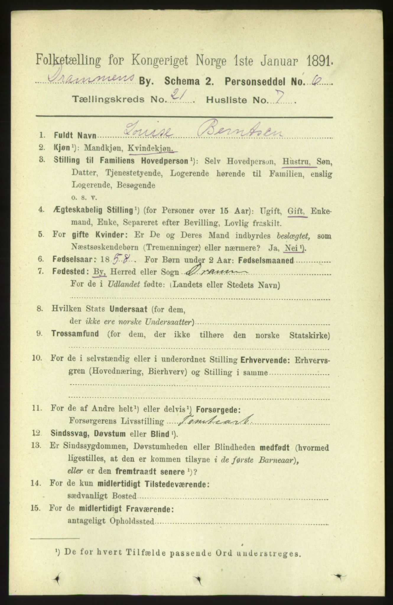 RA, 1891 census for 0602 Drammen, 1891, p. 13100