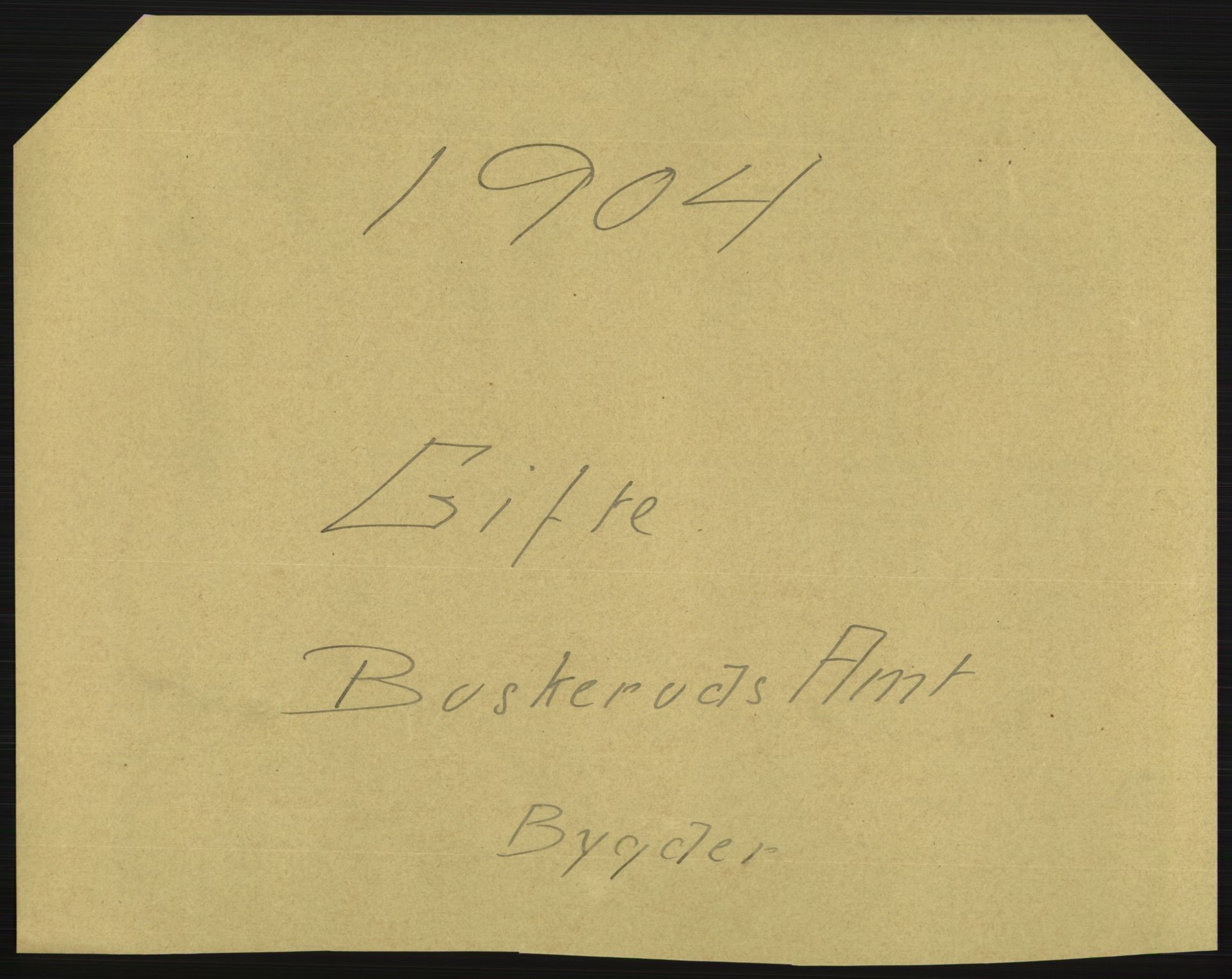 Statistisk sentralbyrå, Sosiodemografiske emner, Befolkning, AV/RA-S-2228/D/Df/Dfa/Dfab/L0007: Buskerud amt: Fødte, gifte, døde, 1904, p. 495