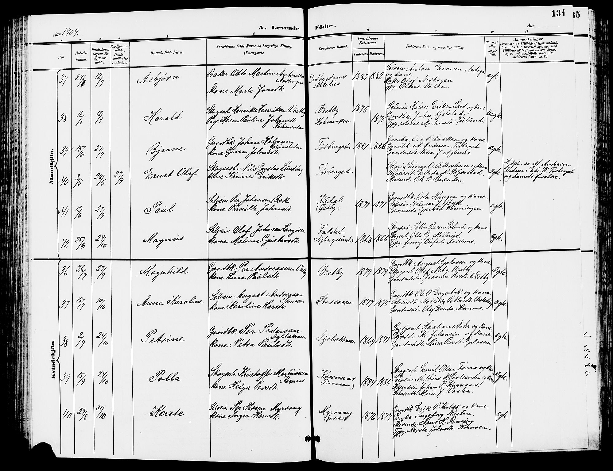 Trysil prestekontor, AV/SAH-PREST-046/H/Ha/Hab/L0006: Parish register (copy) no. 6, 1896-1912, p. 134