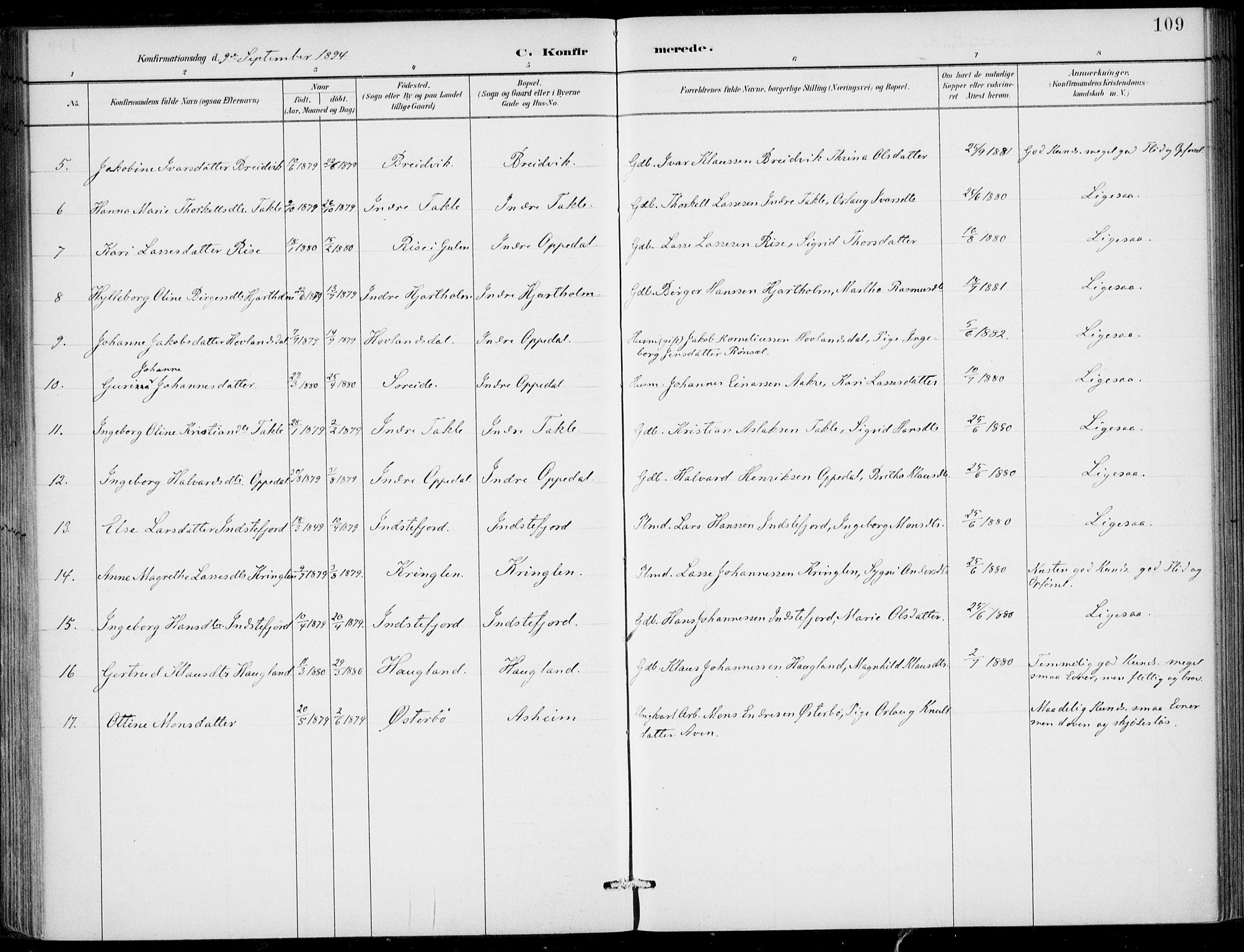 Gulen sokneprestembete, AV/SAB-A-80201/H/Haa/Haac/L0002: Parish register (official) no. C  2, 1882-1914, p. 109