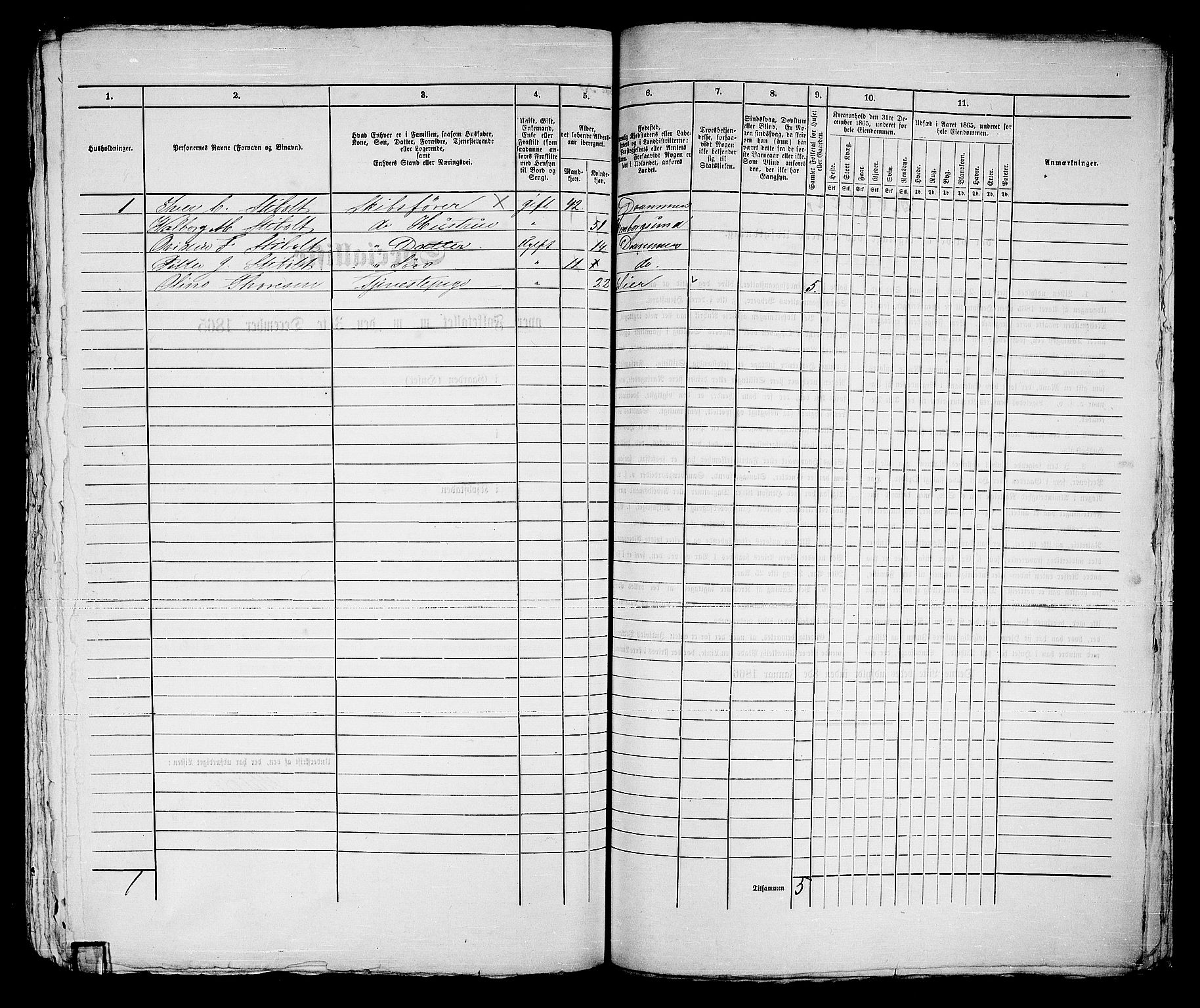 RA, 1865 census for Strømsø in Drammen, 1865, p. 544