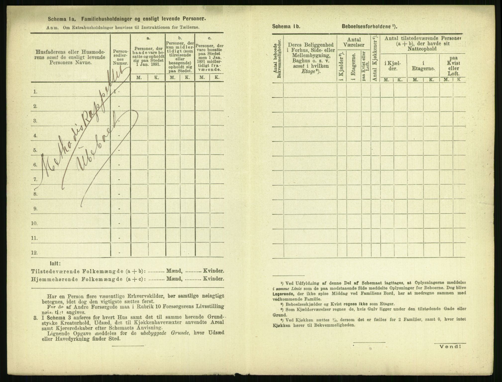 RA, 1891 census for 0804 Brevik, 1891, p. 270