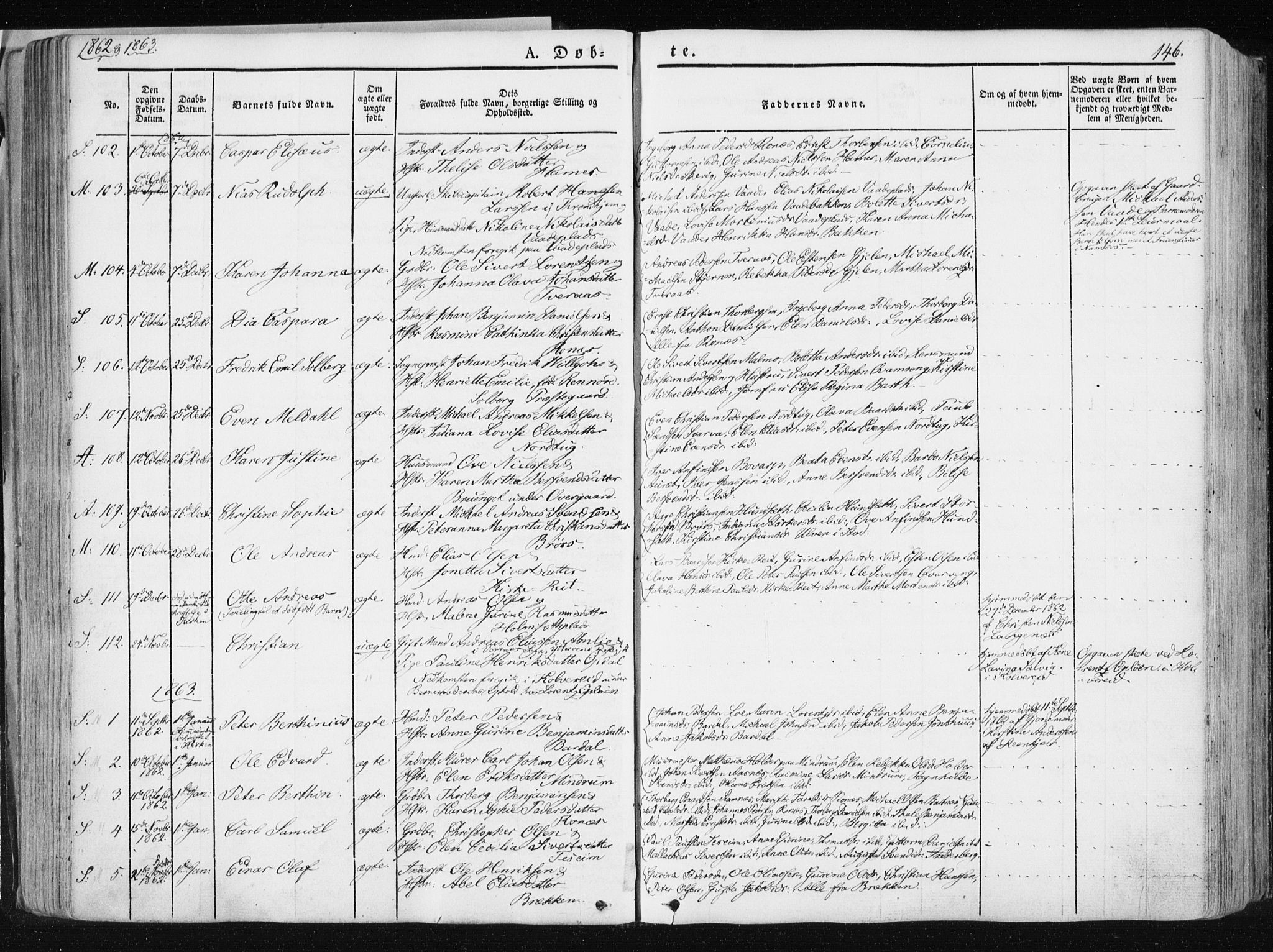 Ministerialprotokoller, klokkerbøker og fødselsregistre - Nord-Trøndelag, SAT/A-1458/741/L0393: Parish register (official) no. 741A07, 1849-1863, p. 146