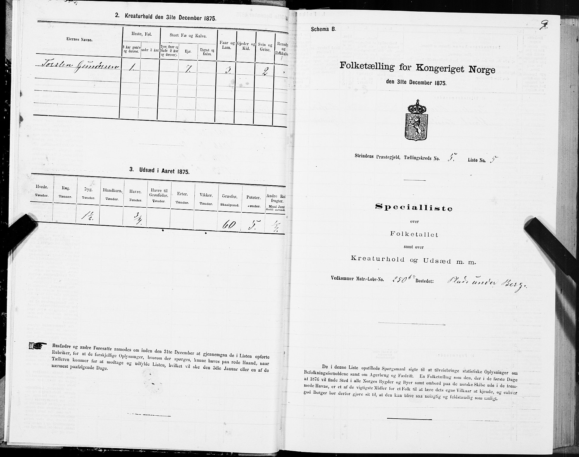 SAT, 1875 census for 1660P Strinda, 1875, p. 3009