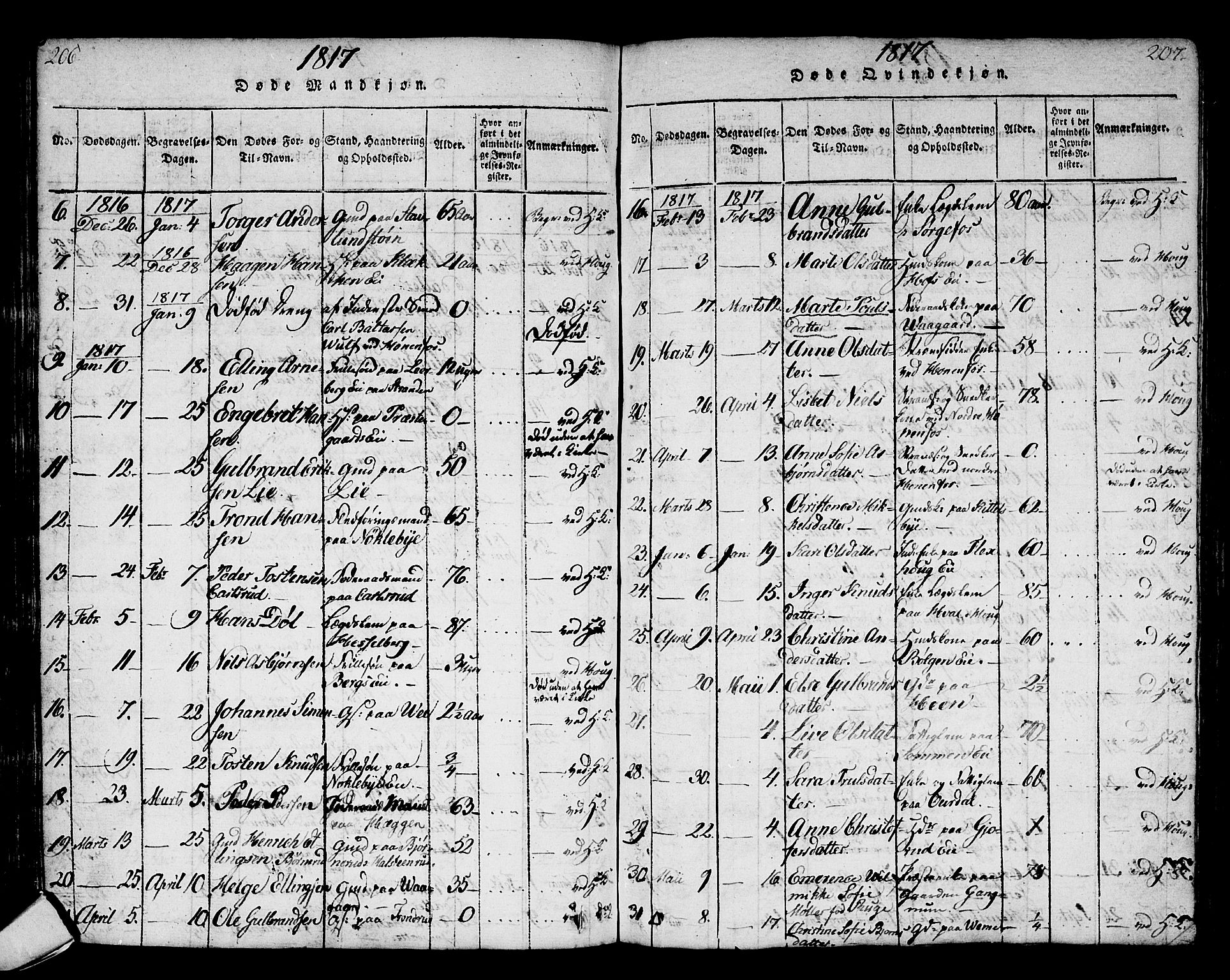 Norderhov kirkebøker, SAKO/A-237/G/Ga/L0002: Parish register (copy) no. I 2, 1814-1867, p. 206-207