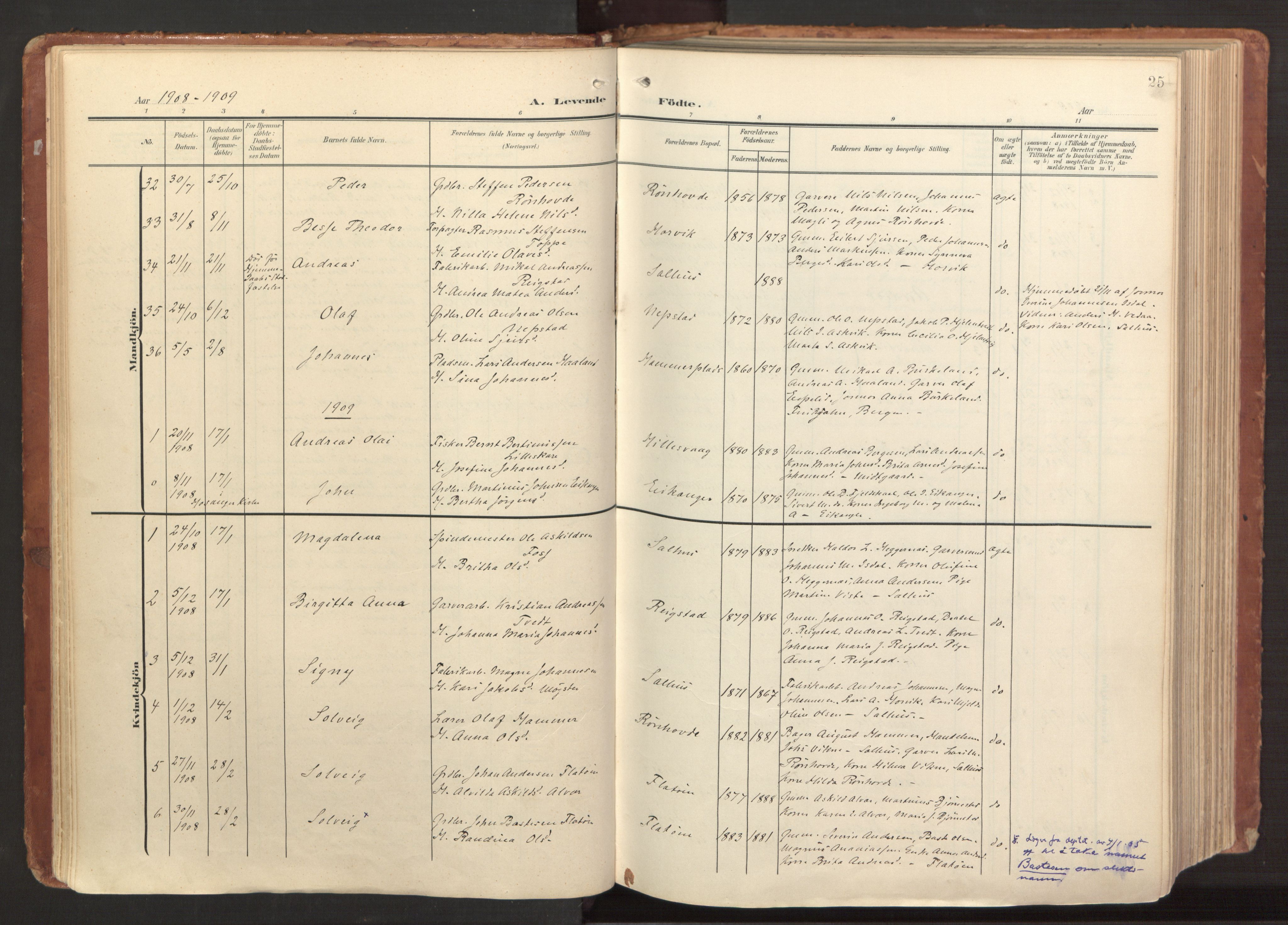 Hamre sokneprestembete, AV/SAB-A-75501/H/Ha/Haa/Haab/L0002: Parish register (official) no. B 2, 1905-1924, p. 25