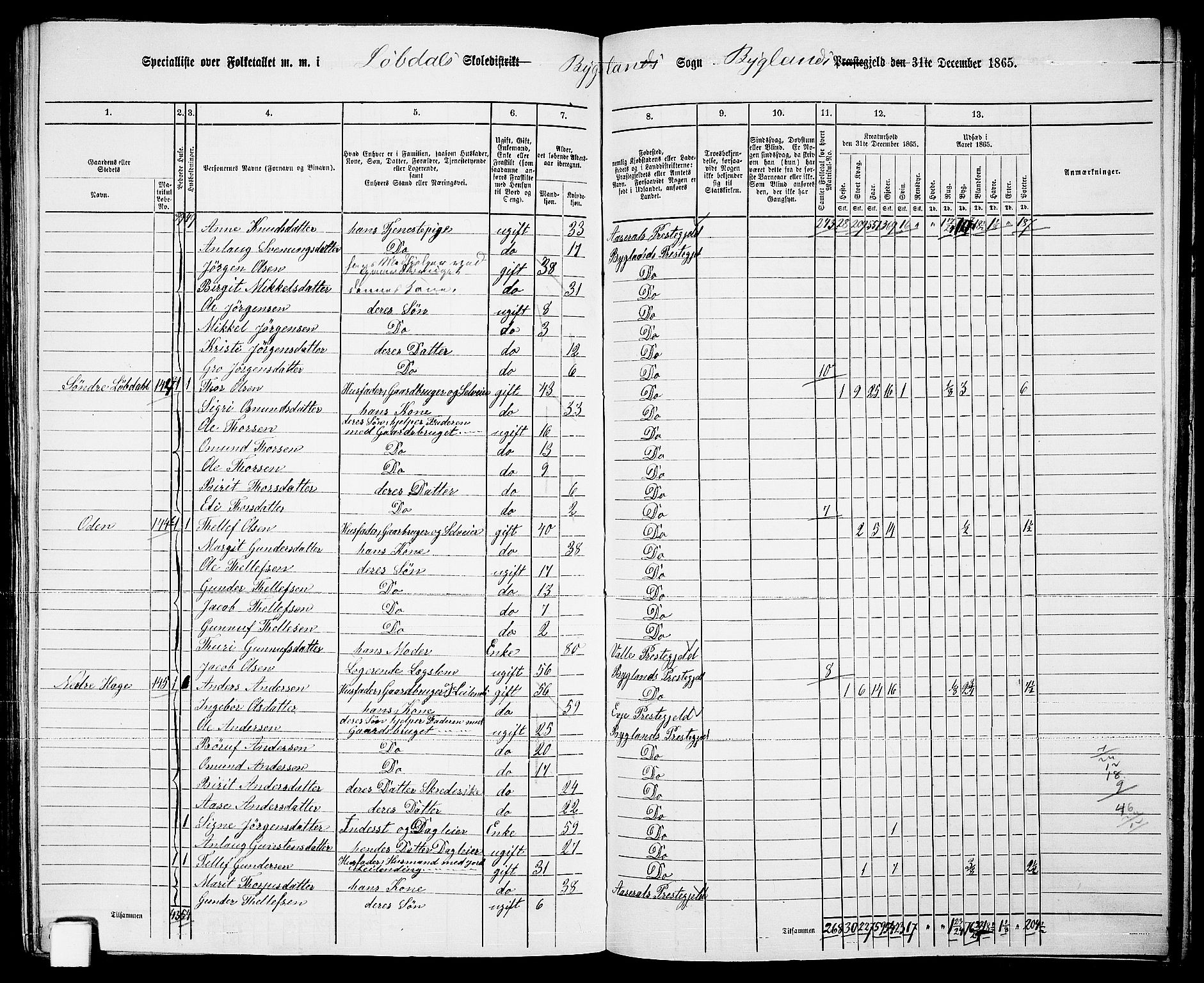 RA, 1865 census for Bygland, 1865, p. 76