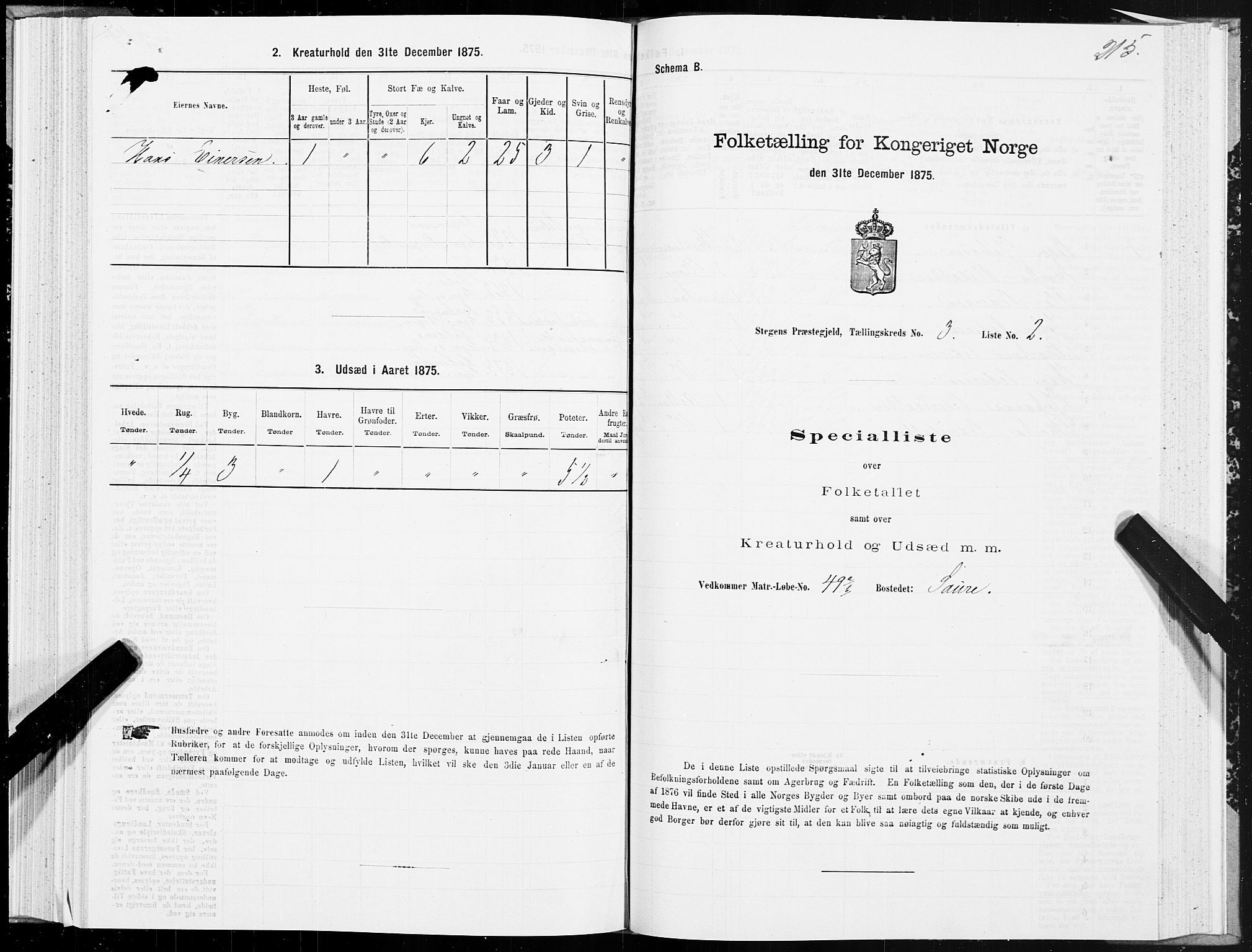 SAT, 1875 census for 1848P Steigen, 1875, p. 1215