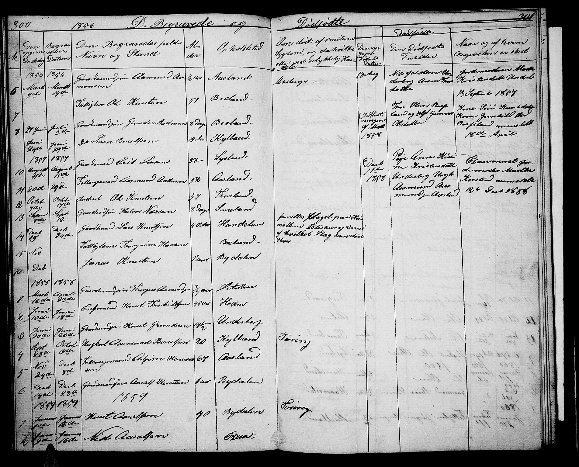 Åseral sokneprestkontor, AV/SAK-1111-0051/F/Fb/L0001: Parish register (copy) no. B 1, 1856-1877, p. 300-301