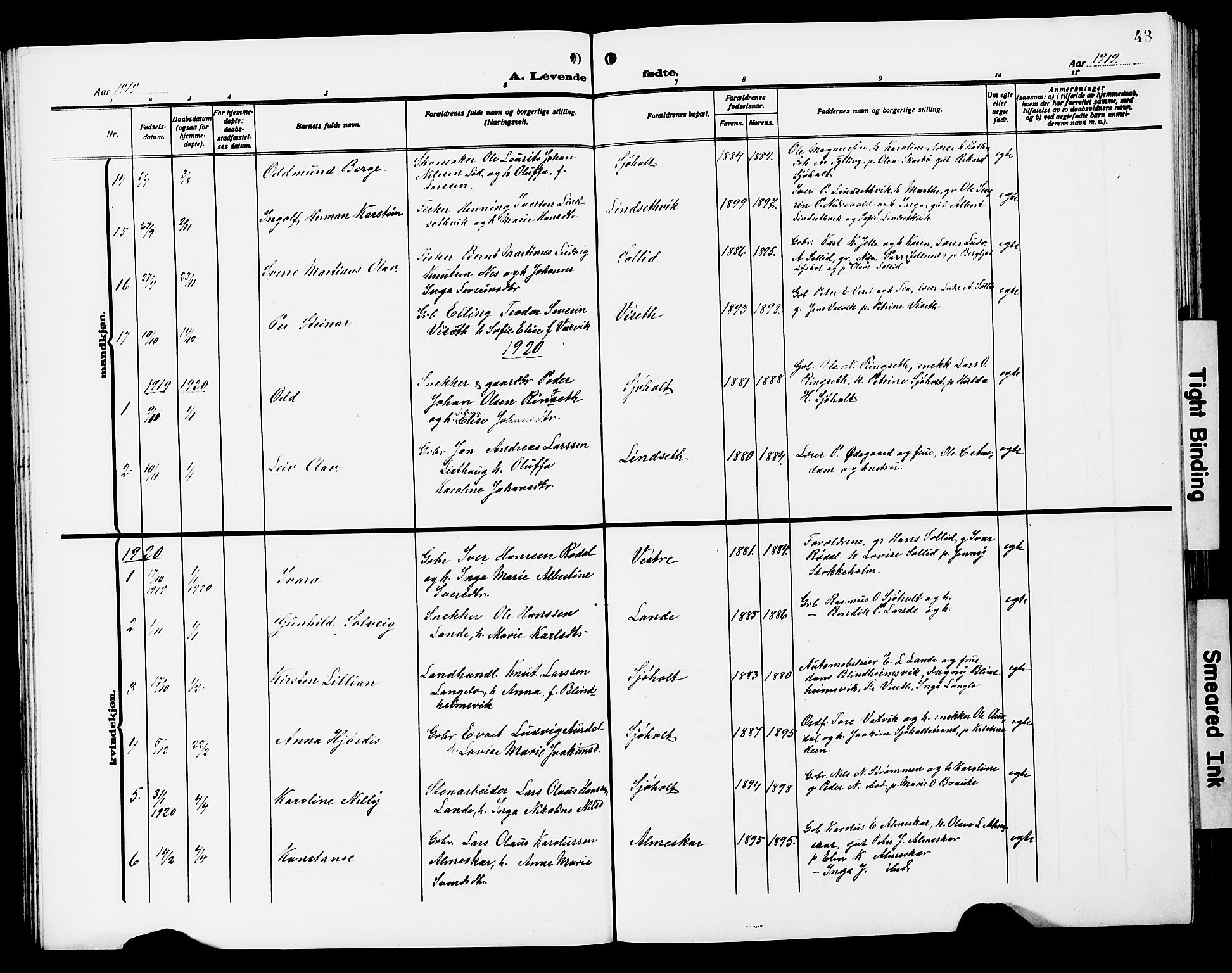 Ministerialprotokoller, klokkerbøker og fødselsregistre - Møre og Romsdal, AV/SAT-A-1454/522/L0328: Parish register (copy) no. 522C07, 1909-1925, p. 43