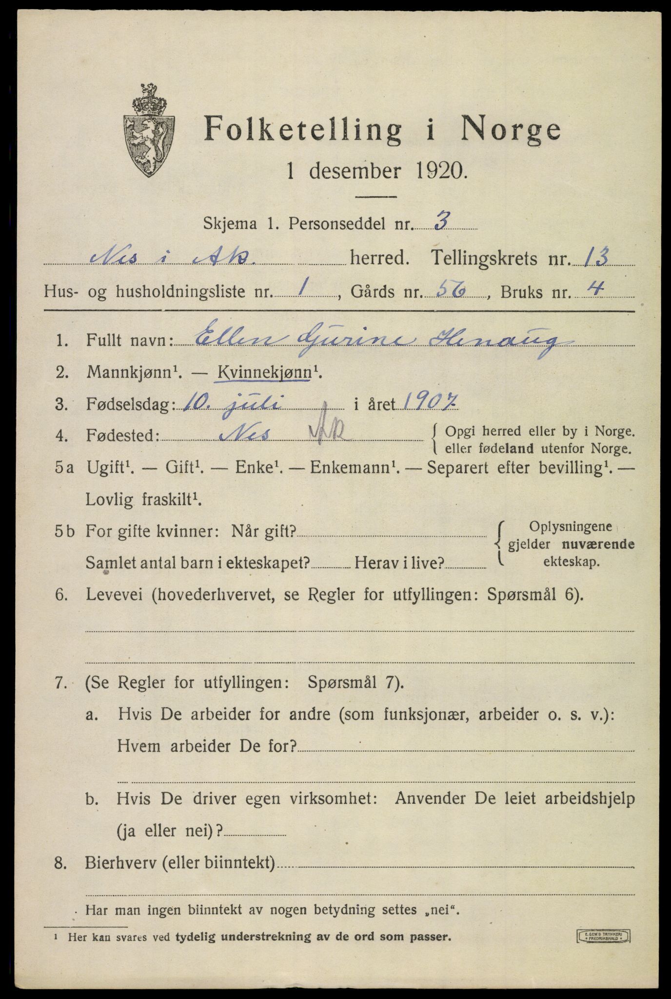 SAO, 1920 census for Nes, 1920, p. 13428