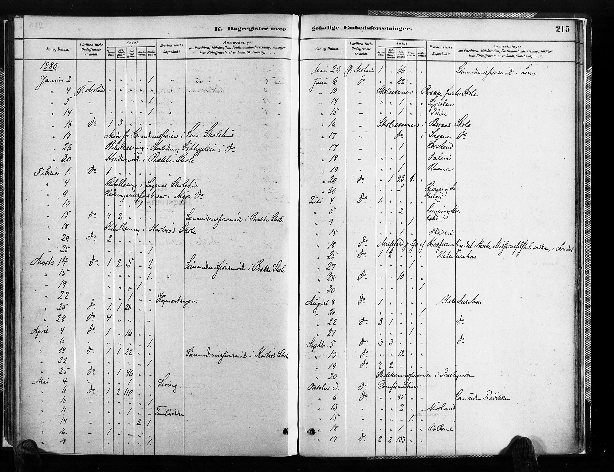 Austre Moland sokneprestkontor, SAK/1111-0001/F/Fa/Faa/L0010: Parish register (official) no. A 10, 1880-1904, p. 215