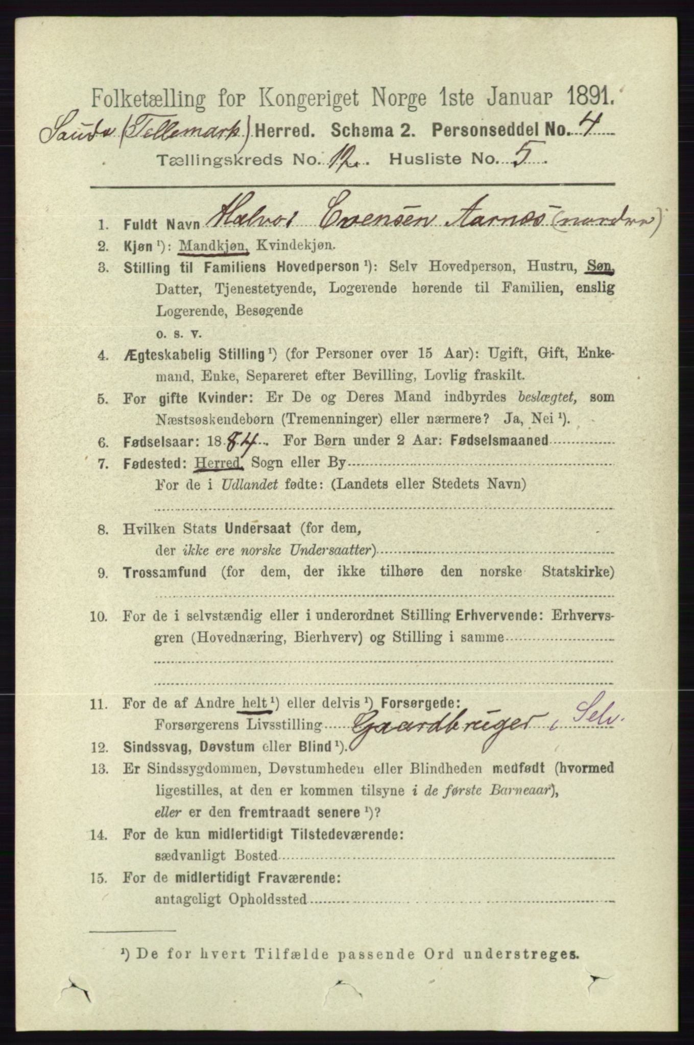 RA, 1891 census for 0822 Sauherad, 1891, p. 3650