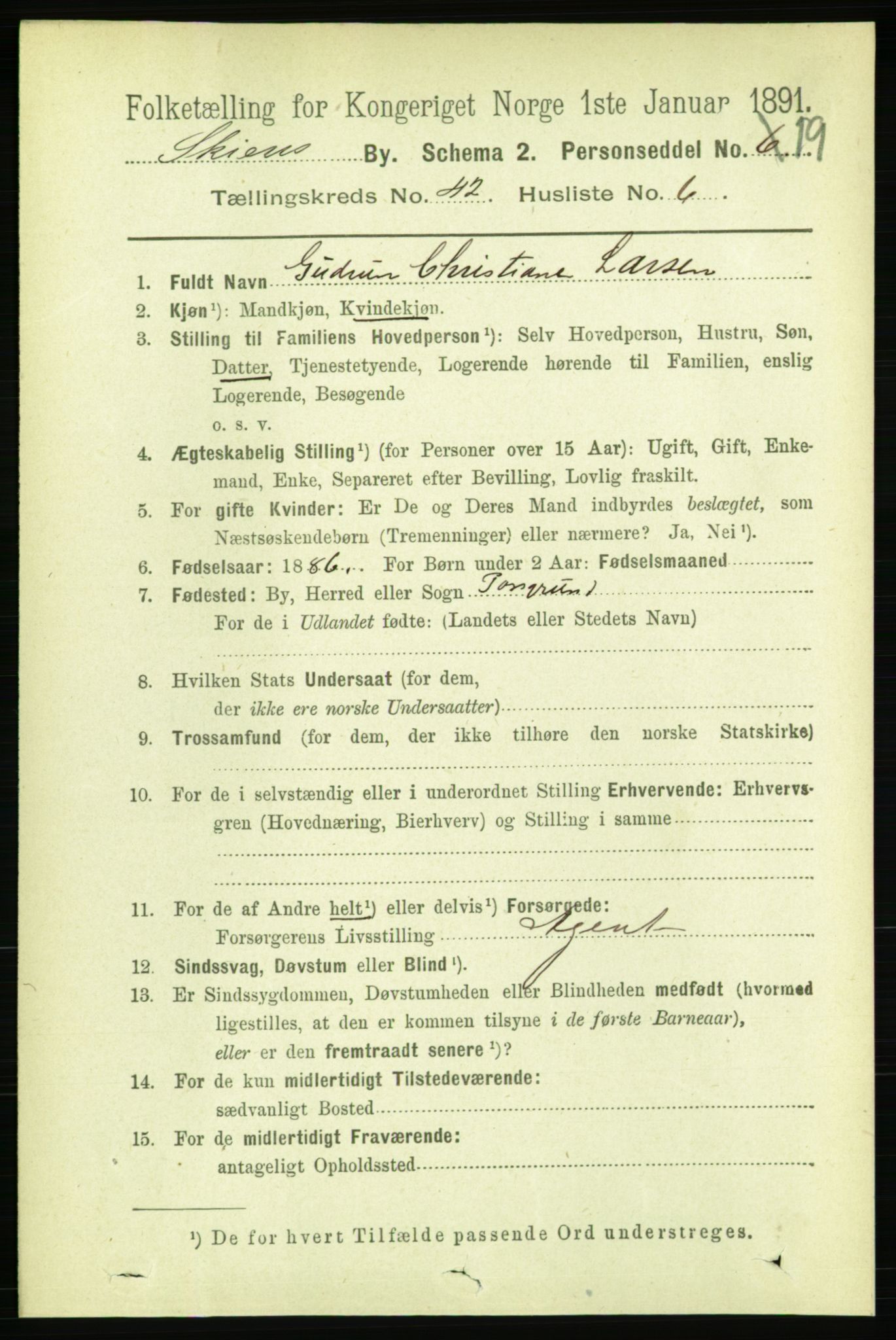 RA, 1891 census for 0806 Skien, 1891, p. 8582