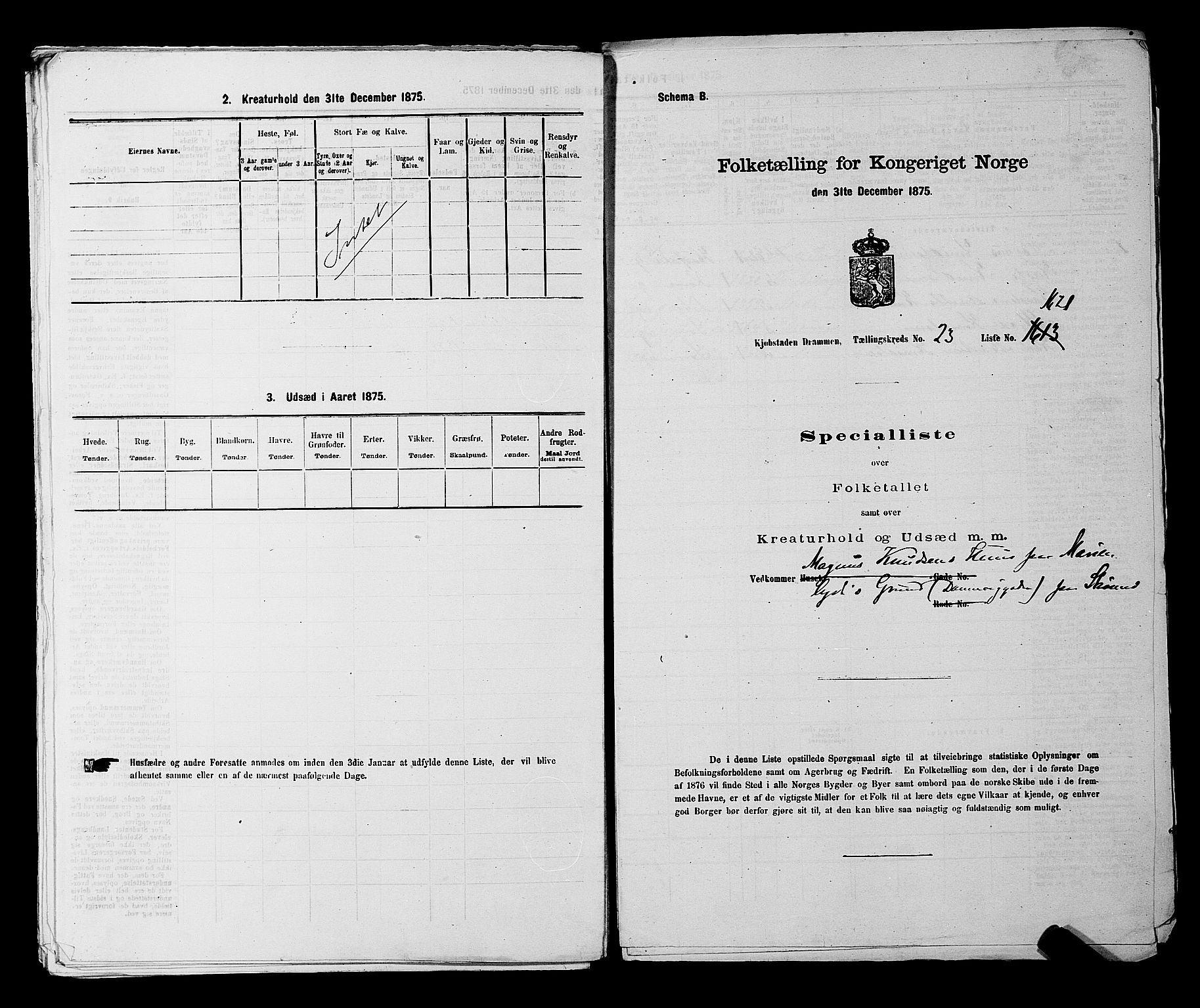 SAKO, 1875 census for 0602 Drammen, 1875, p. 2362