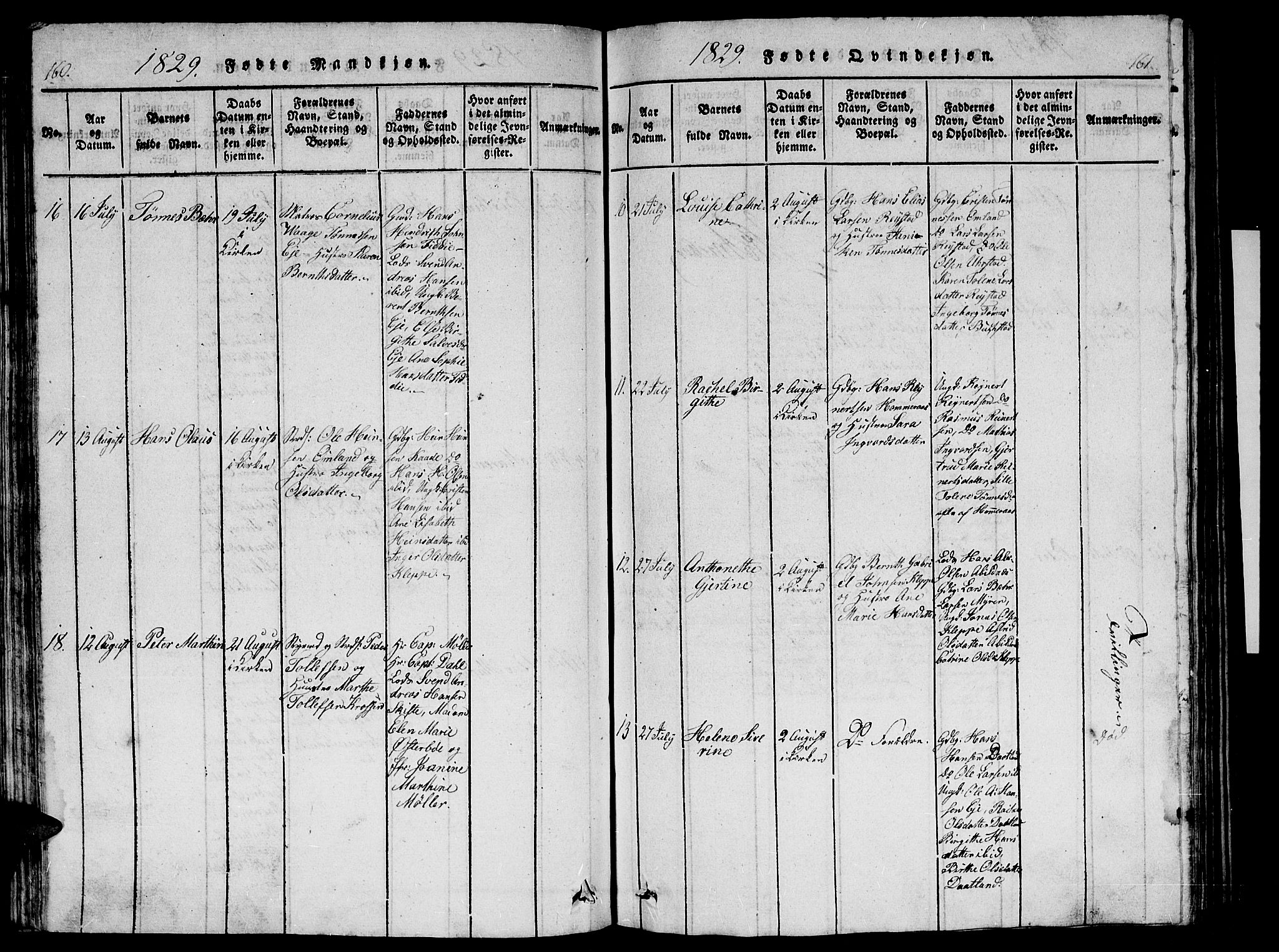 Flekkefjord sokneprestkontor, AV/SAK-1111-0012/F/Fb/Fbb/L0001: Parish register (copy) no. B 1, 1815-1830, p. 160-161