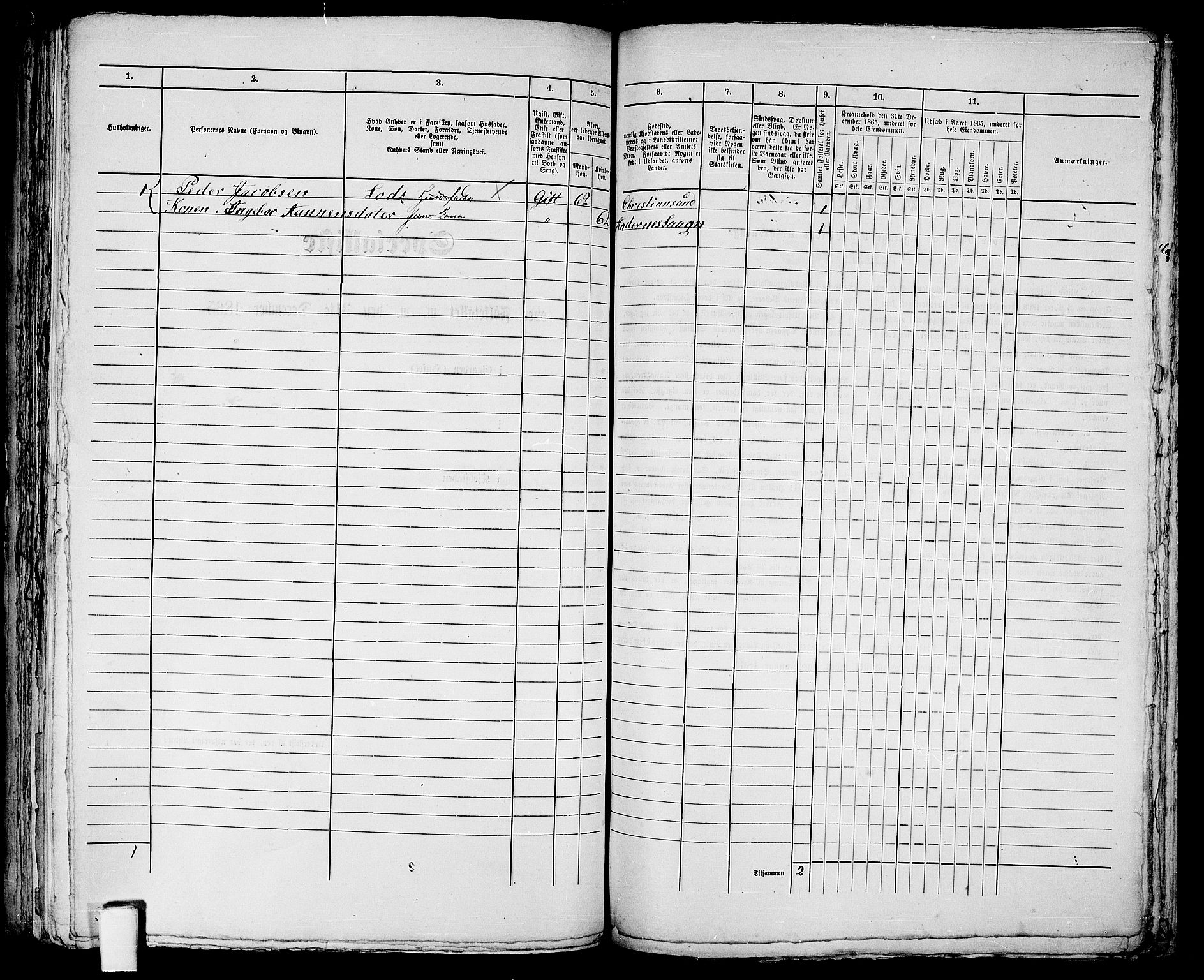 RA, 1865 census for Kristiansand, 1865, p. 389