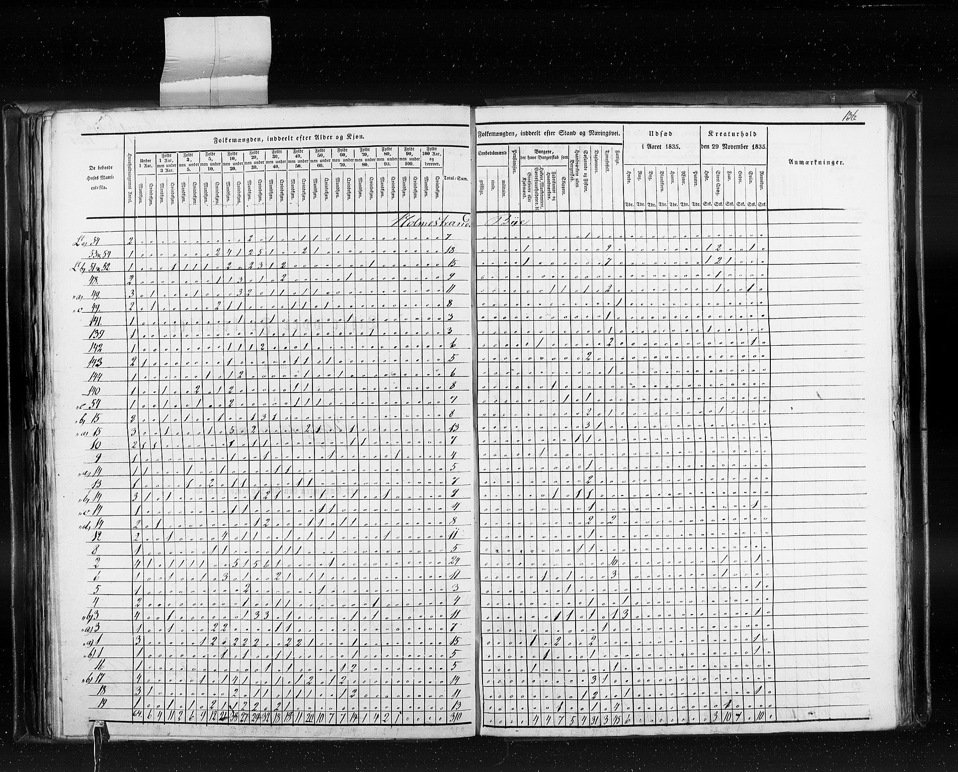 RA, Census 1835, vol. 10: Kjøpsteder og ladesteder: Fredrikshald-Kragerø, 1835, p. 136