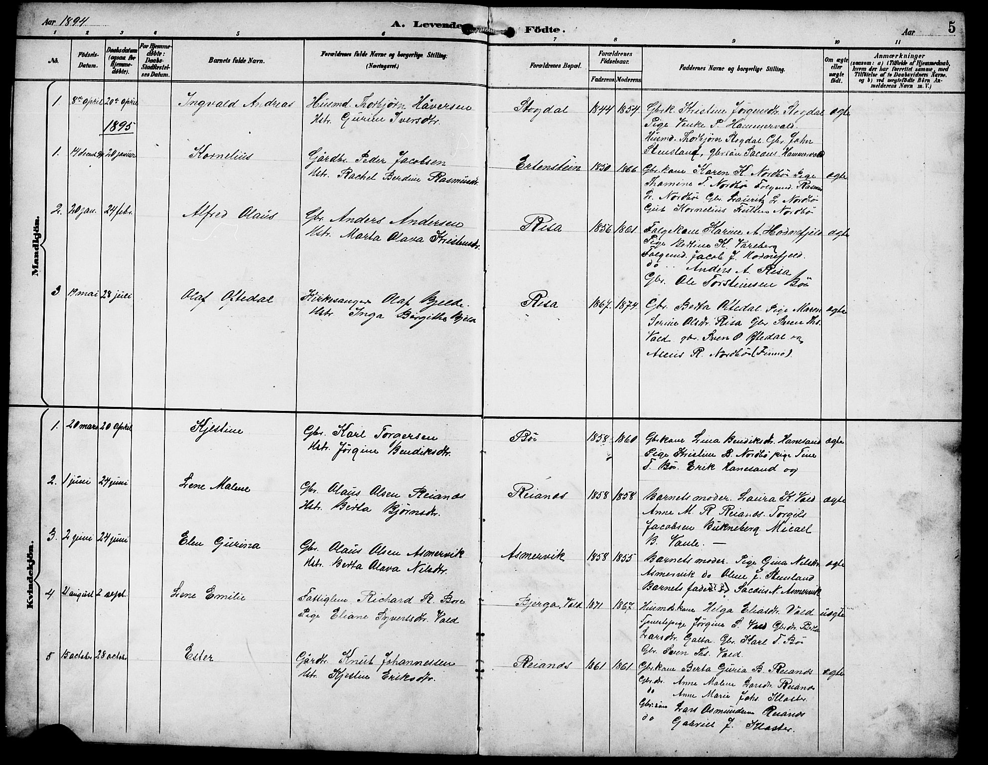 Rennesøy sokneprestkontor, SAST/A -101827/H/Ha/Hab/L0012: Parish register (copy) no. B 11, 1894-1924, p. 5