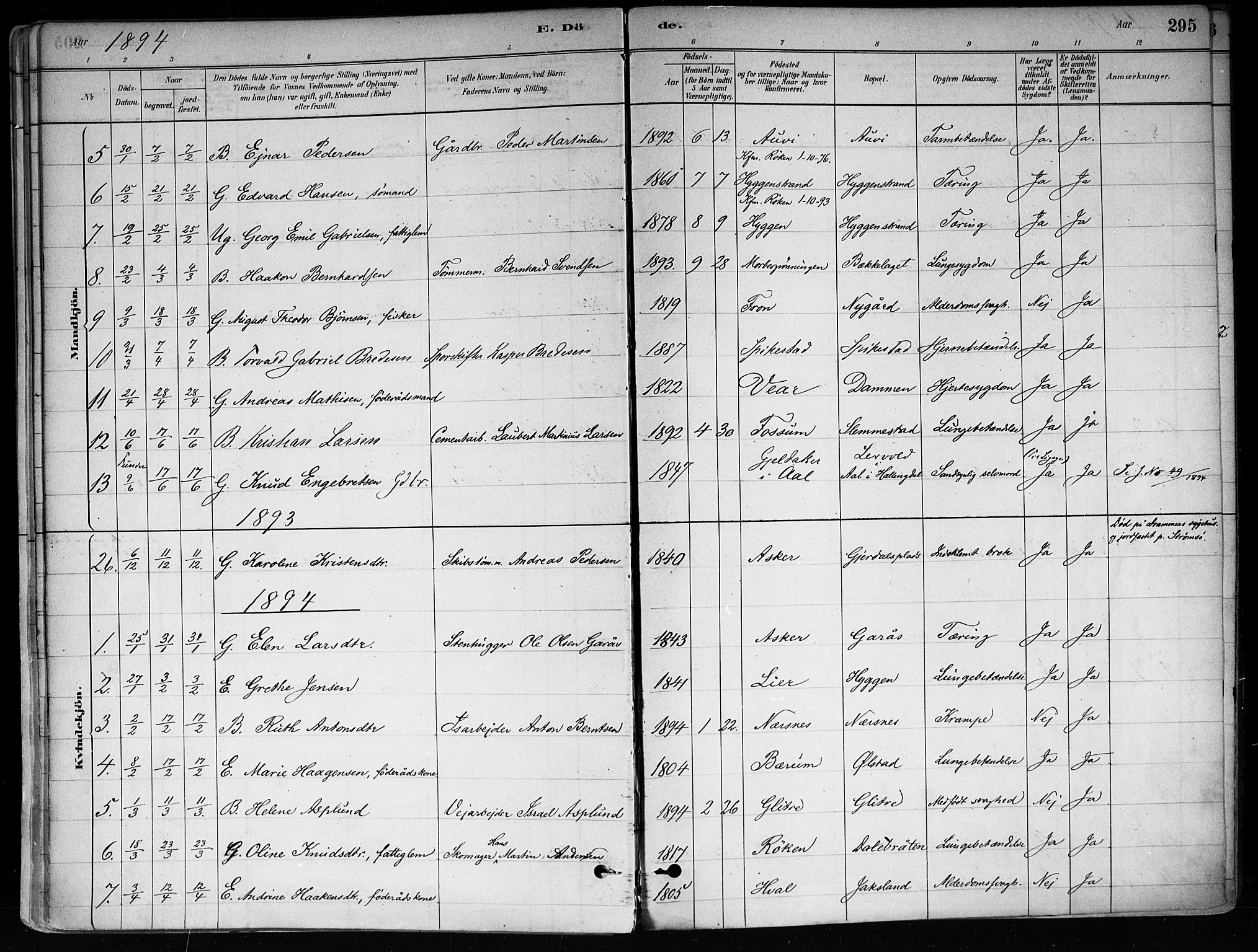 Røyken kirkebøker, SAKO/A-241/F/Fa/L0008: Parish register (official) no. 8, 1880-1897, p. 295