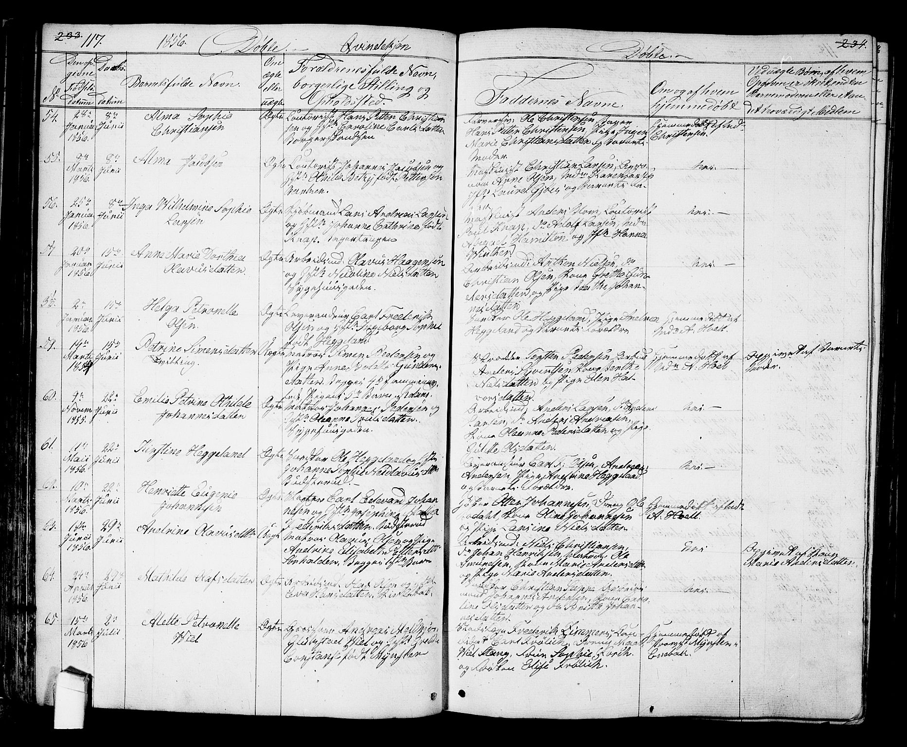Halden prestekontor Kirkebøker, SAO/A-10909/G/Ga/L0005a: Parish register (copy) no. 5A, 1855-1864, p. 117