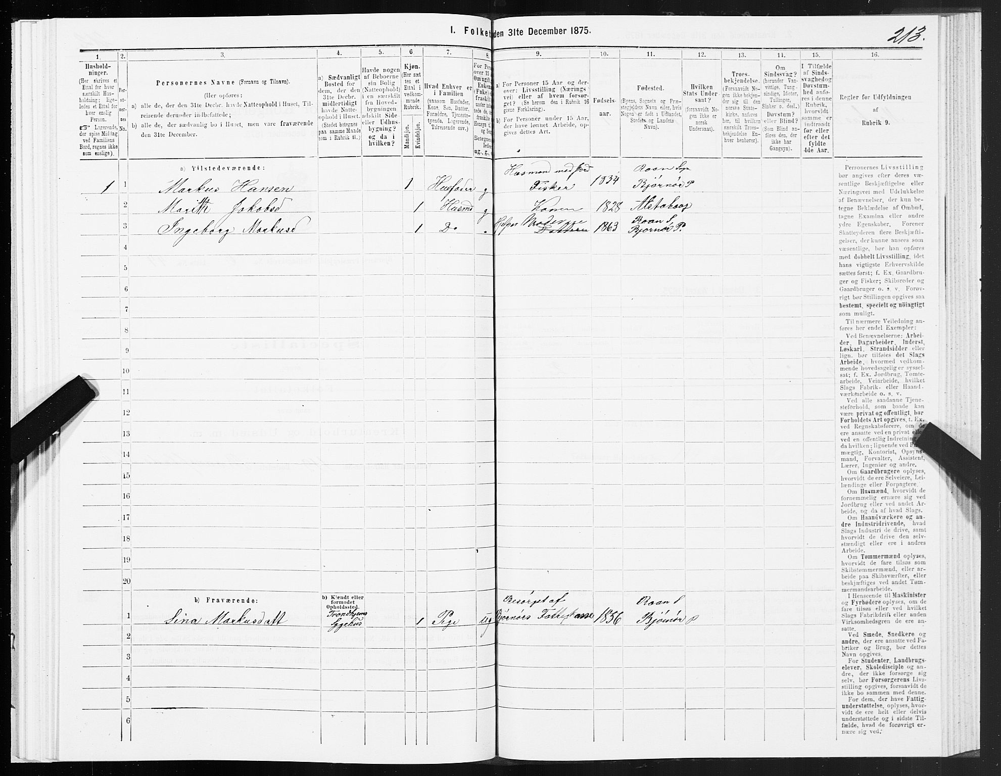 SAT, 1875 census for 1632P Bjørnør, 1875, p. 3213