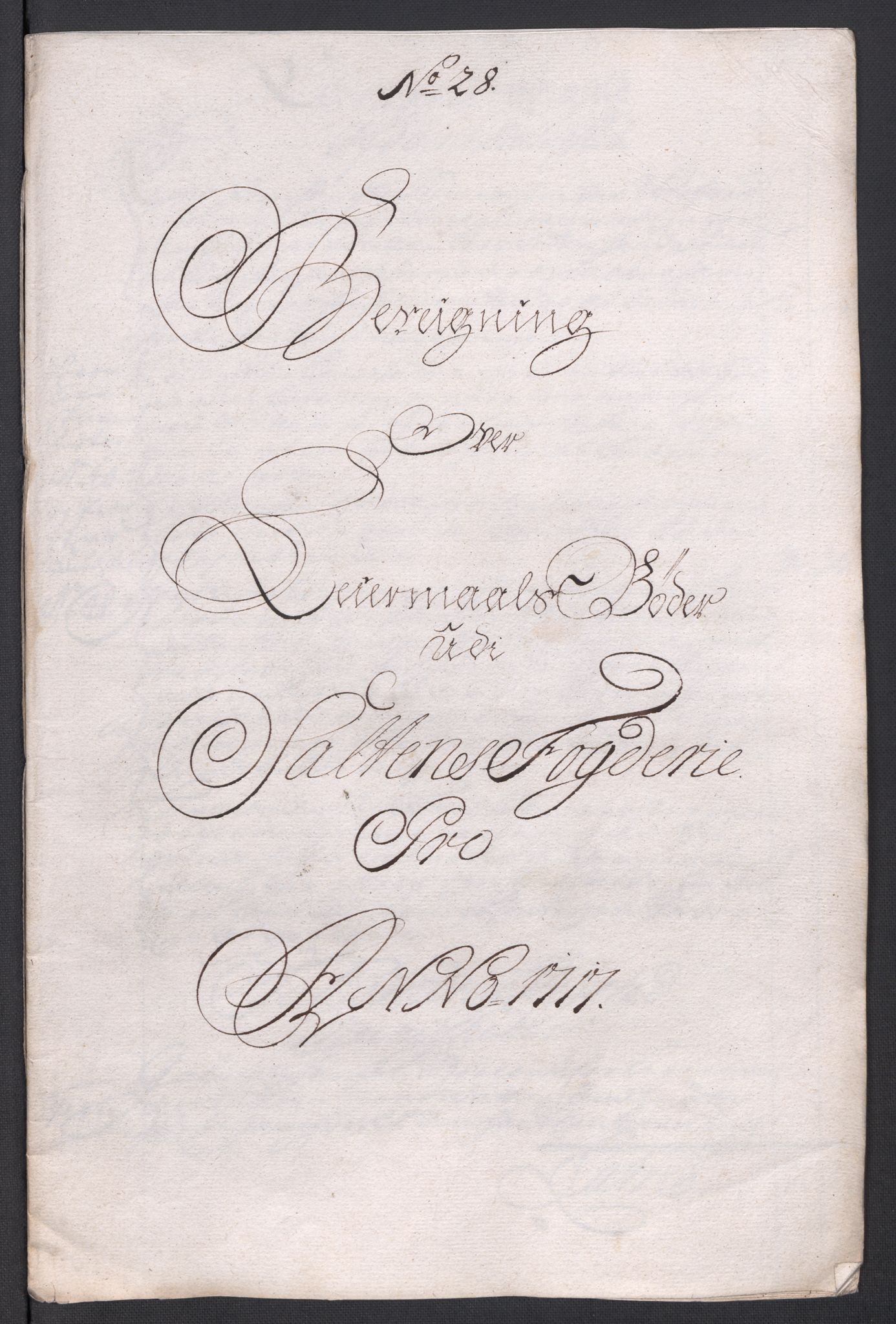 Rentekammeret inntil 1814, Reviderte regnskaper, Fogderegnskap, AV/RA-EA-4092/R66/L4587: Fogderegnskap Salten, 1717, p. 292