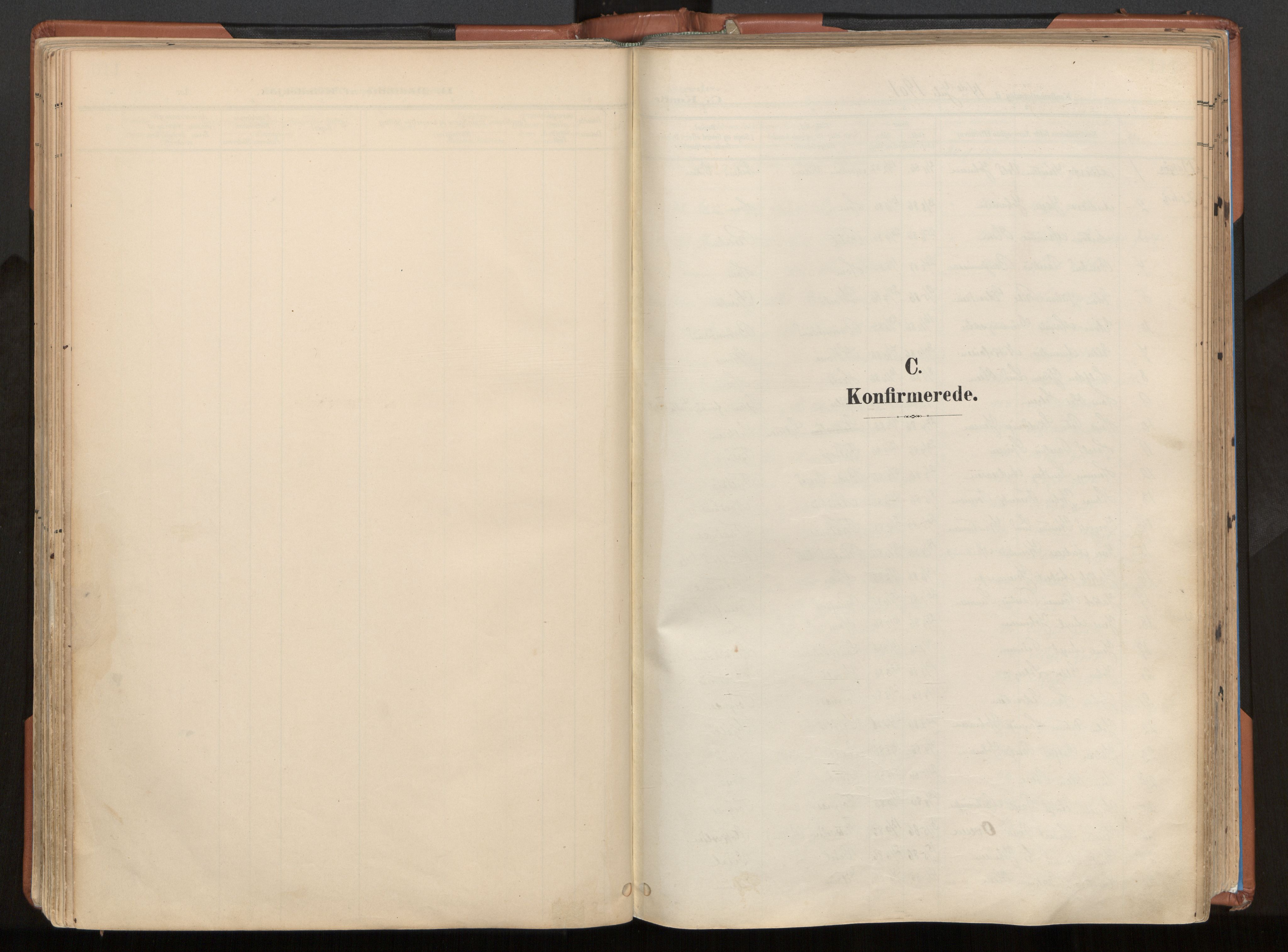 Ministerialprotokoller, klokkerbøker og fødselsregistre - Nordland, AV/SAT-A-1459/813/L0201: Parish register (official) no. 813A11, 1901-1918