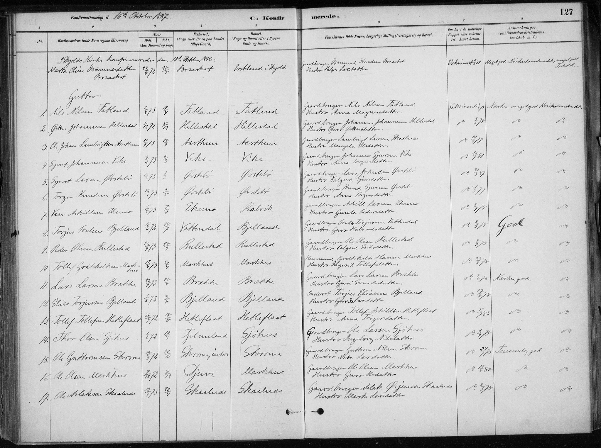 Skånevik sokneprestembete, SAB/A-77801/H/Haa: Parish register (official) no. E  1, 1879-1901, p. 127