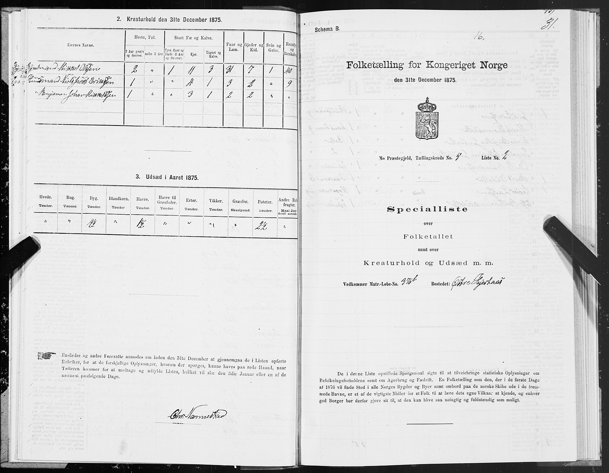 SAT, 1875 census for 1833P Mo, 1875, p. 3031