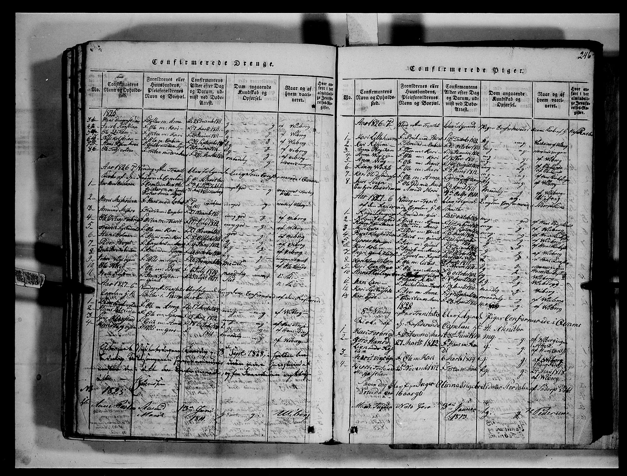 Fron prestekontor, SAH/PREST-078/H/Ha/Hab/L0002: Parish register (copy) no. 2, 1816-1850, p. 246