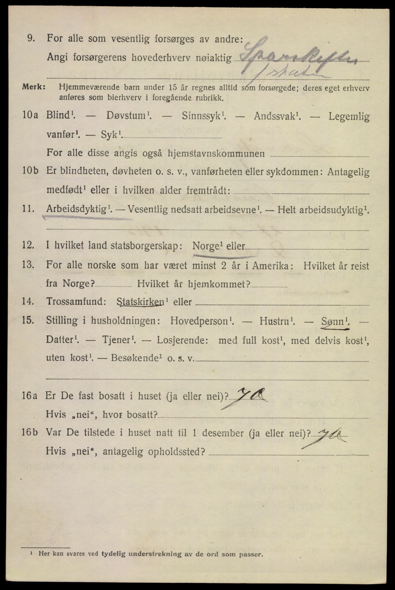 SAKO, 1920 census for Larvik, 1920, p. 16537