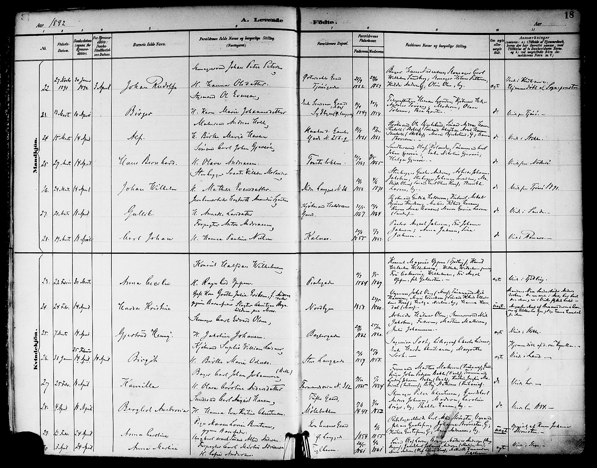 Tønsberg kirkebøker, AV/SAKO-A-330/F/Fa/L0012: Parish register (official) no. I 12, 1891-1899, p. 18