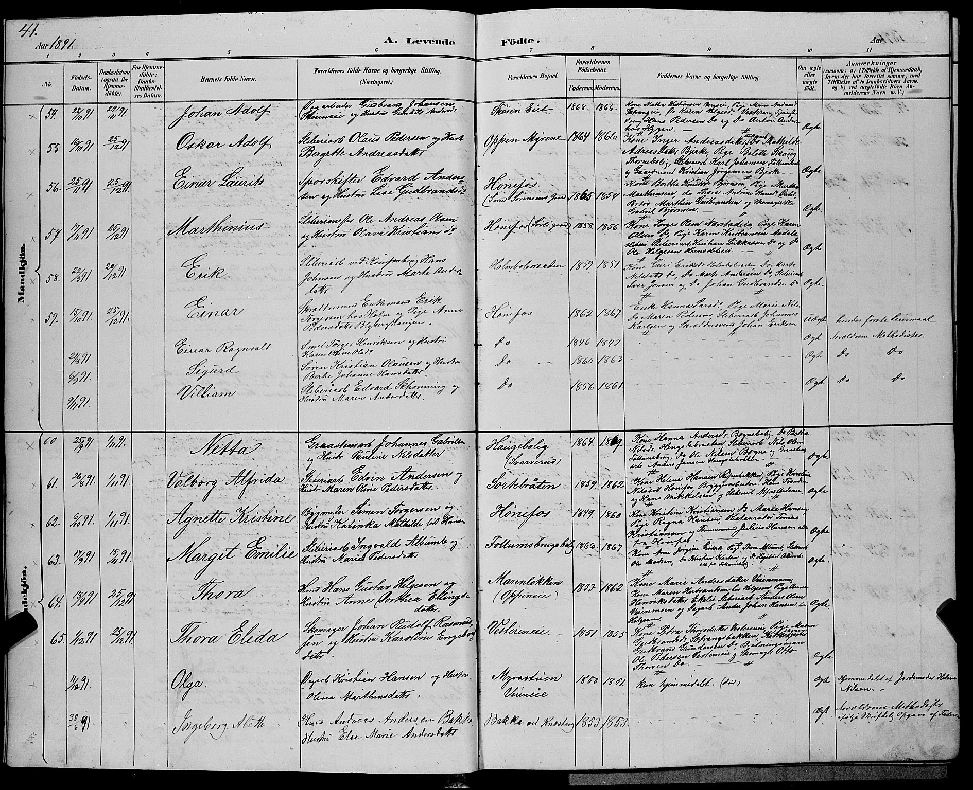 Hønefoss kirkebøker, AV/SAKO-A-609/G/Ga/L0002: Parish register (copy) no. 2, 1888-1904, p. 41