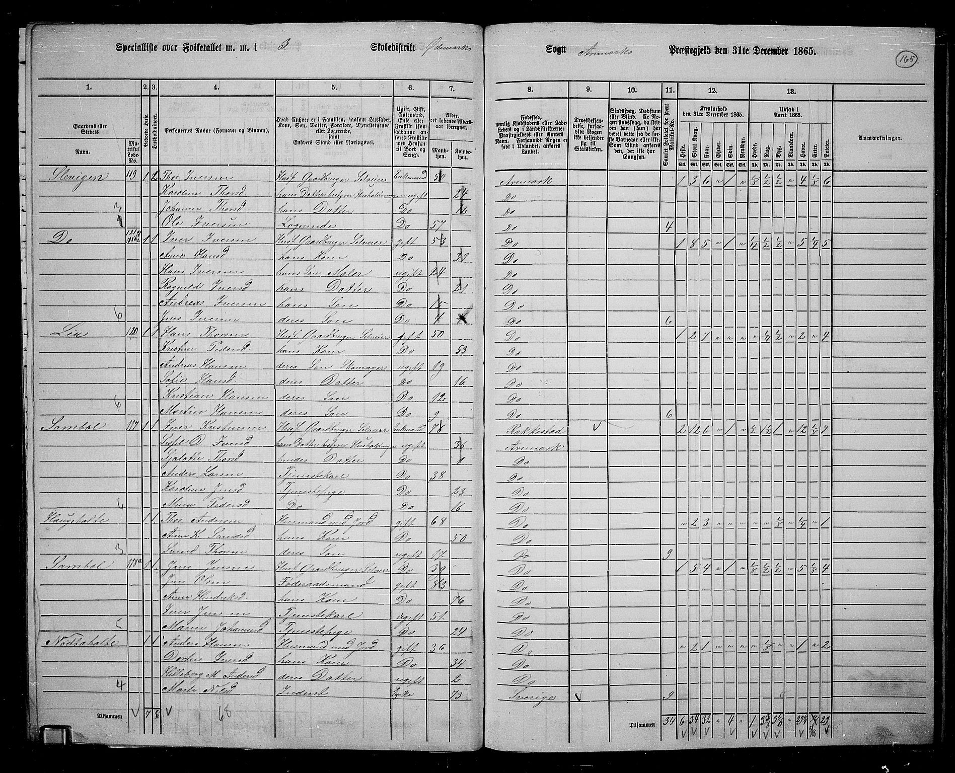 RA, 1865 census for Aremark, 1865, p. 155