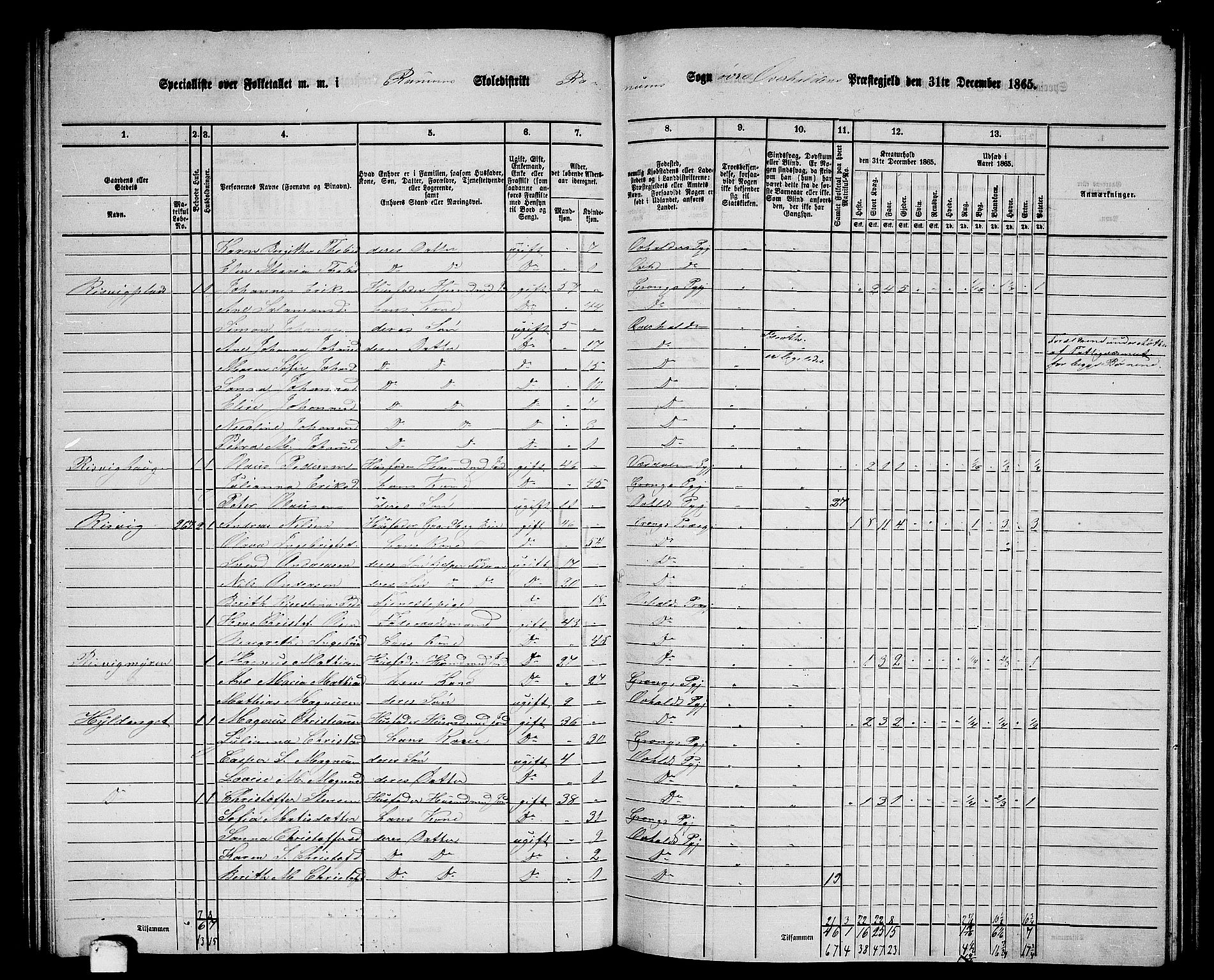 RA, 1865 census for Overhalla, 1865, p. 35