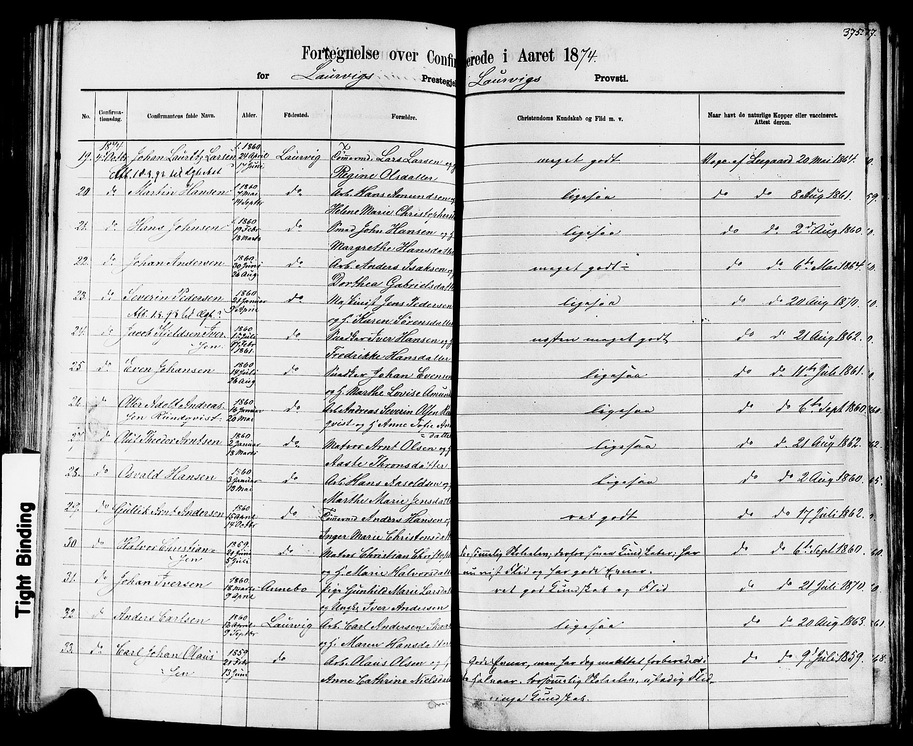 Larvik kirkebøker, AV/SAKO-A-352/F/Fa/L0006: Parish register (official) no. I 6, 1871-1883, p. 375