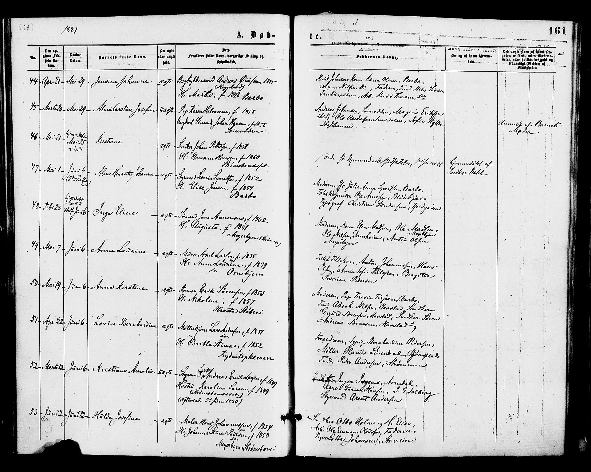 Barbu sokneprestkontor, AV/SAK-1111-0003/F/Fa/L0001: Parish register (official) no. A 1 /1, 1878-1883, p. 161