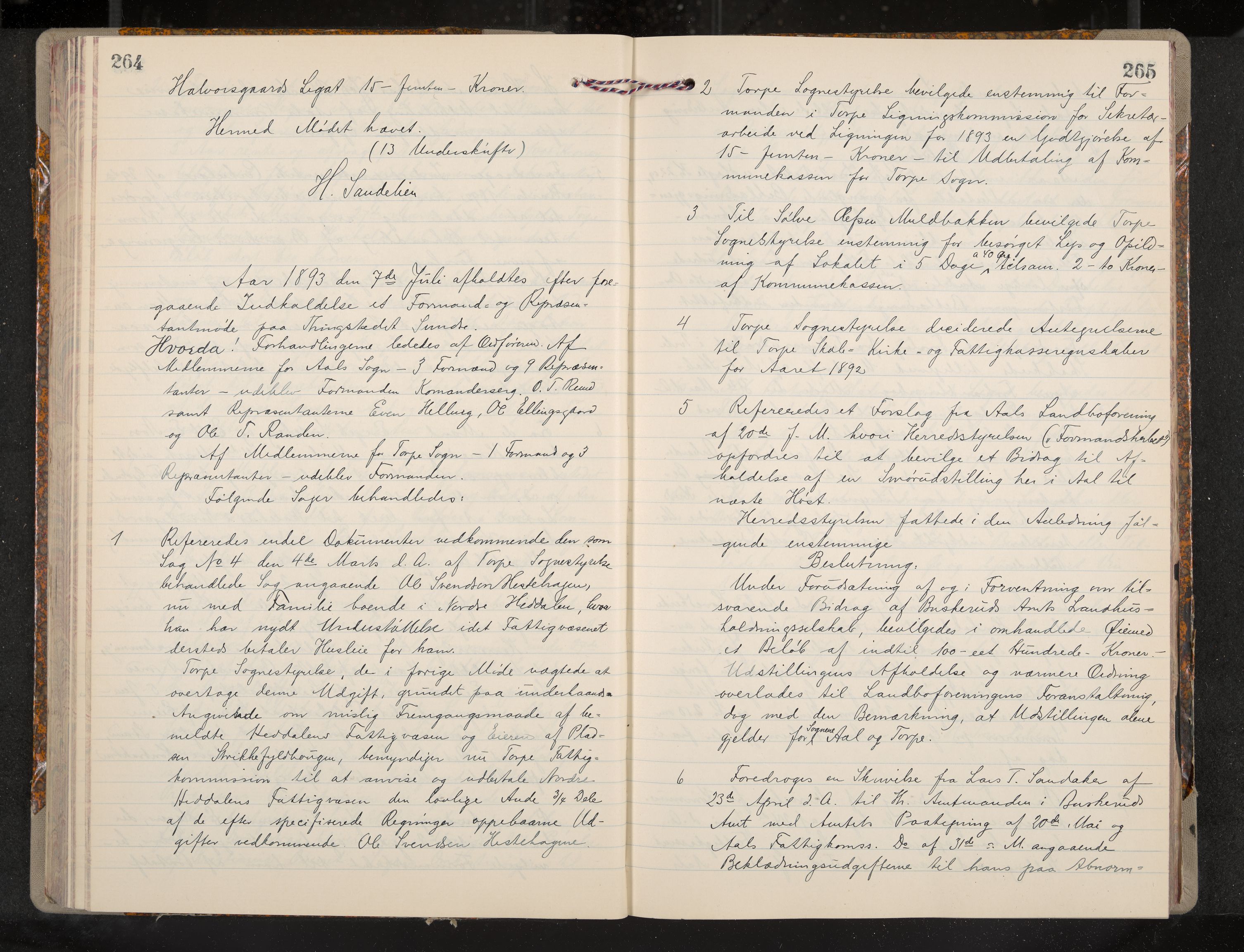 Ål formannskap og sentraladministrasjon, IKAK/0619021/A/Aa/L0004: Utskrift av møtebok, 1881-1901, p. 264-265