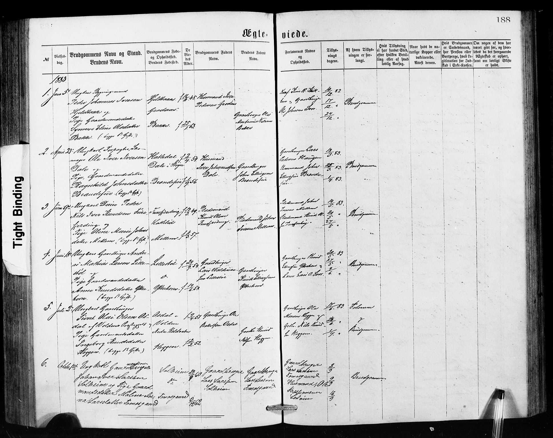 Hornindal sokneprestembete, AV/SAB-A-82401/H/Hab: Parish register (copy) no. A 1, 1876-1894, p. 188