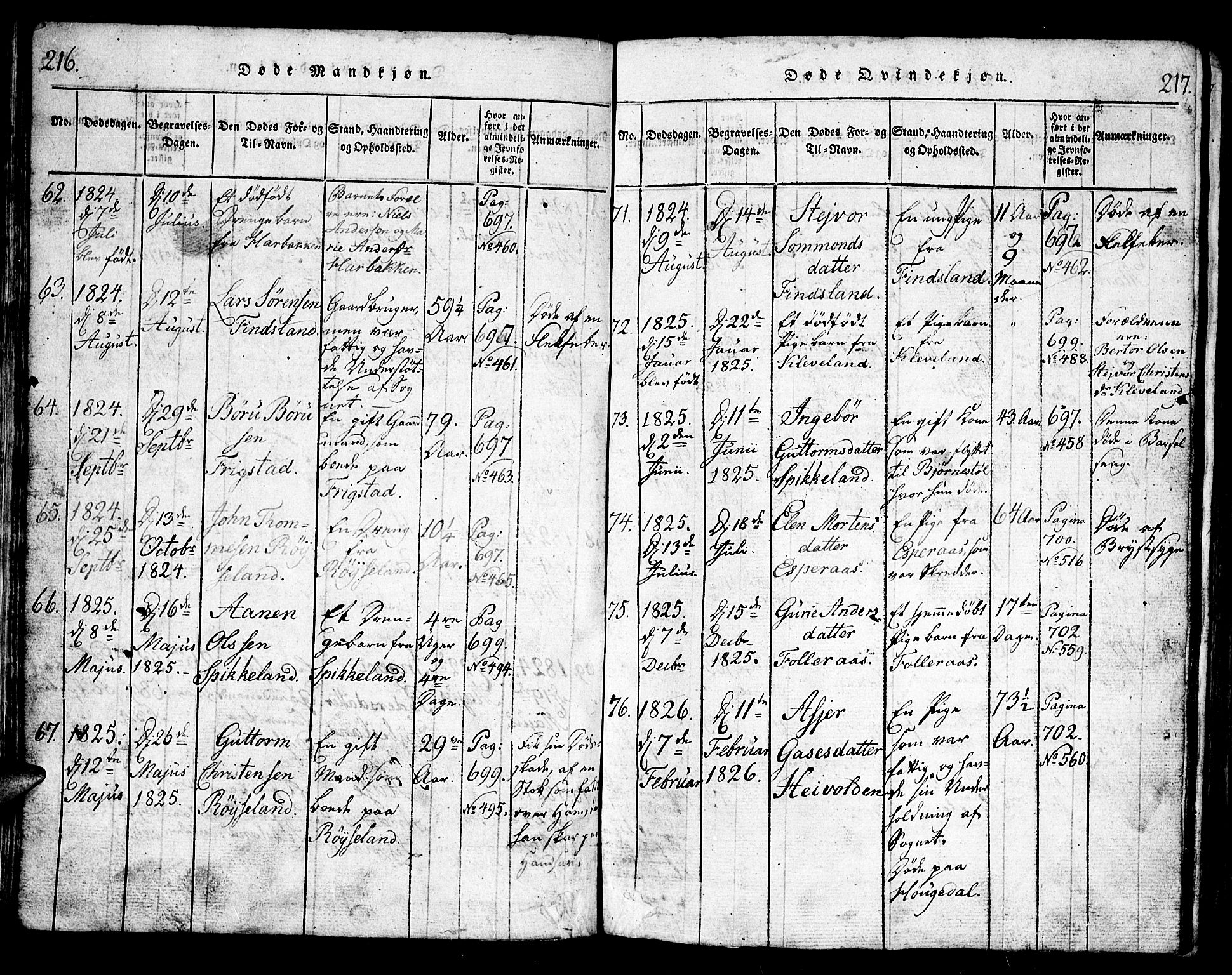 Bjelland sokneprestkontor, AV/SAK-1111-0005/F/Fb/Fbb/L0003: Parish register (copy) no. B 3, 1816-1868, p. 216-217