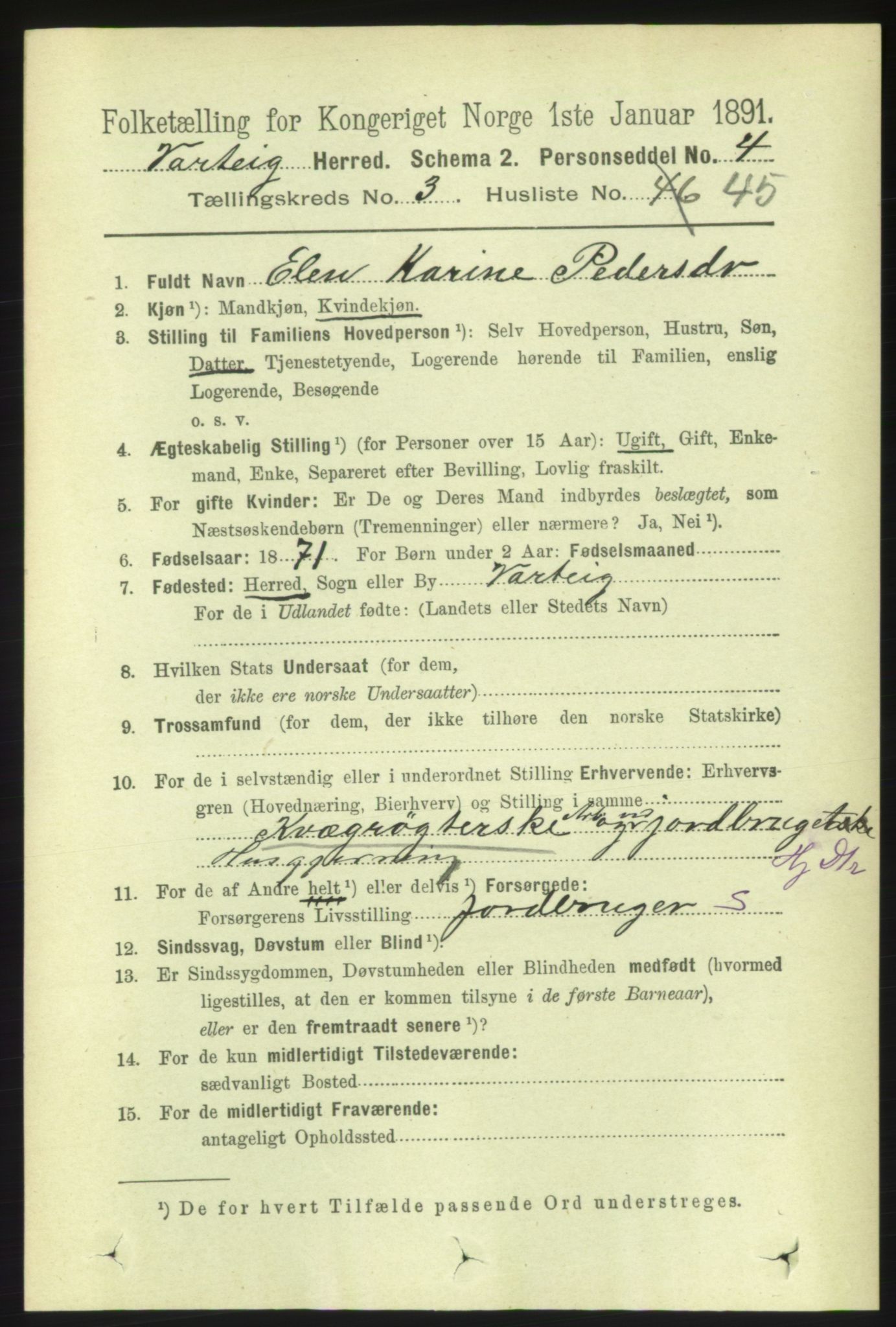 RA, 1891 census for 0114 Varteig, 1891, p. 1391