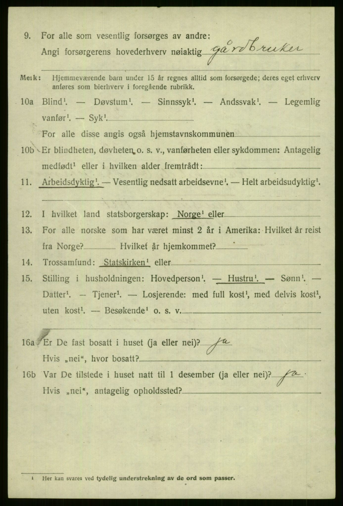 SAB, 1920 census for Voss, 1920, p. 3970