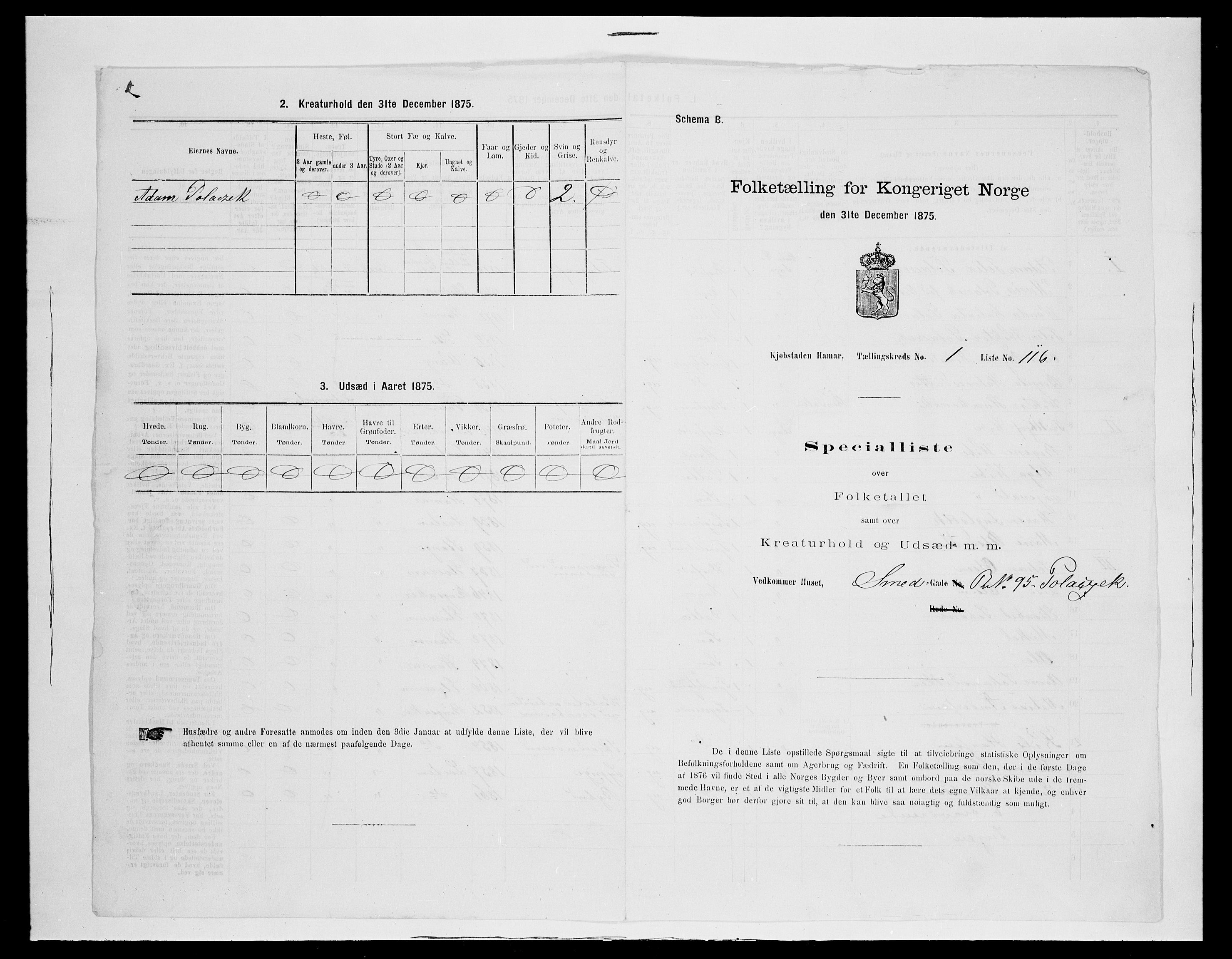 SAH, 1875 census for 0401B Vang/Hamar, 1875, p. 181