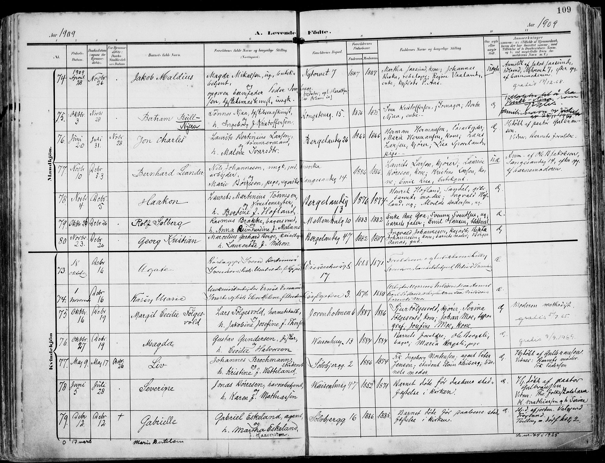 St. Petri sokneprestkontor, SAST/A-101813/002/A/L0005: Parish register (official) no. A 23, 1902-1918, p. 109