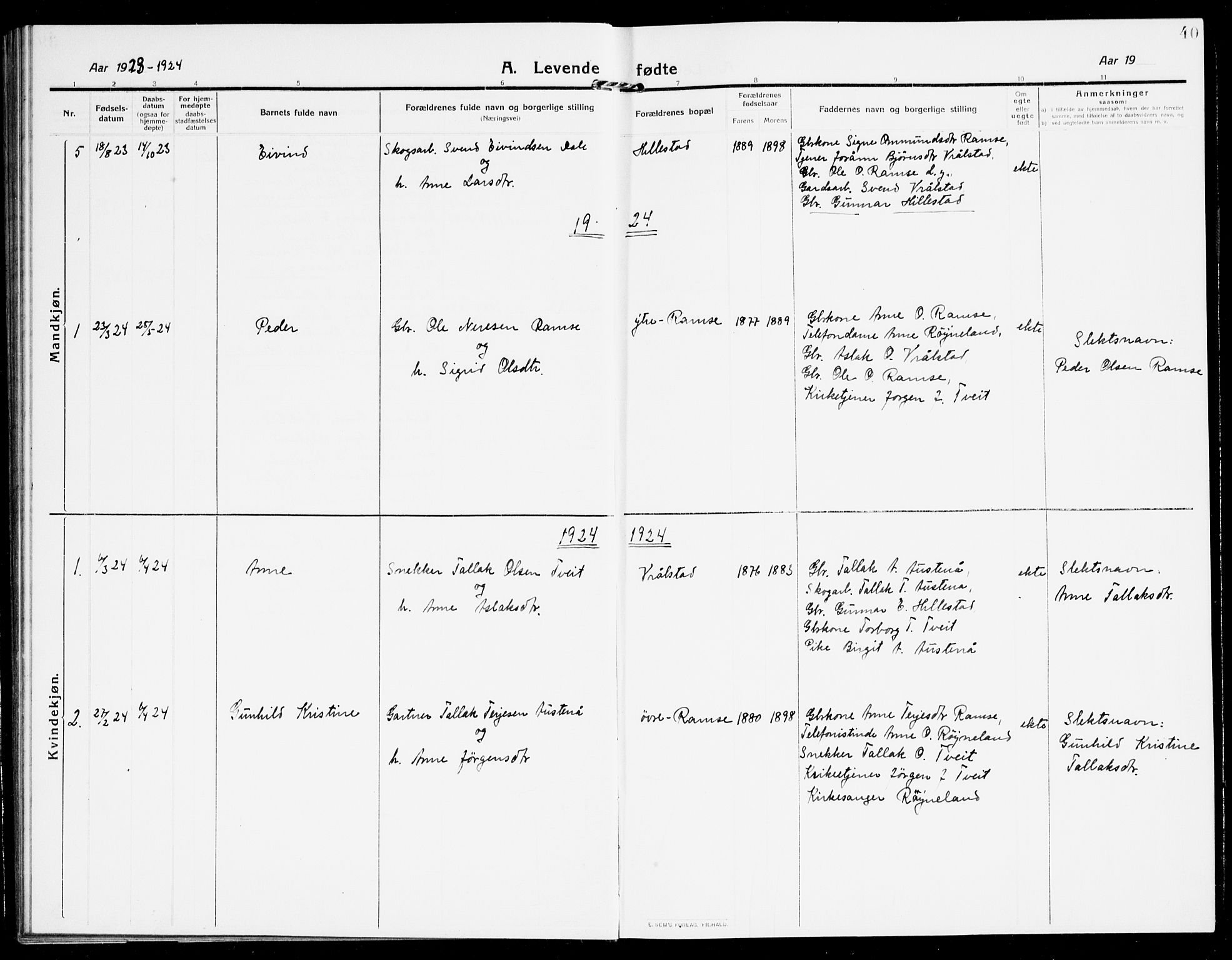 Åmli sokneprestkontor, AV/SAK-1111-0050/F/Fb/Fbb/L0003: Parish register (copy) no. B 3, 1906-1941, p. 40